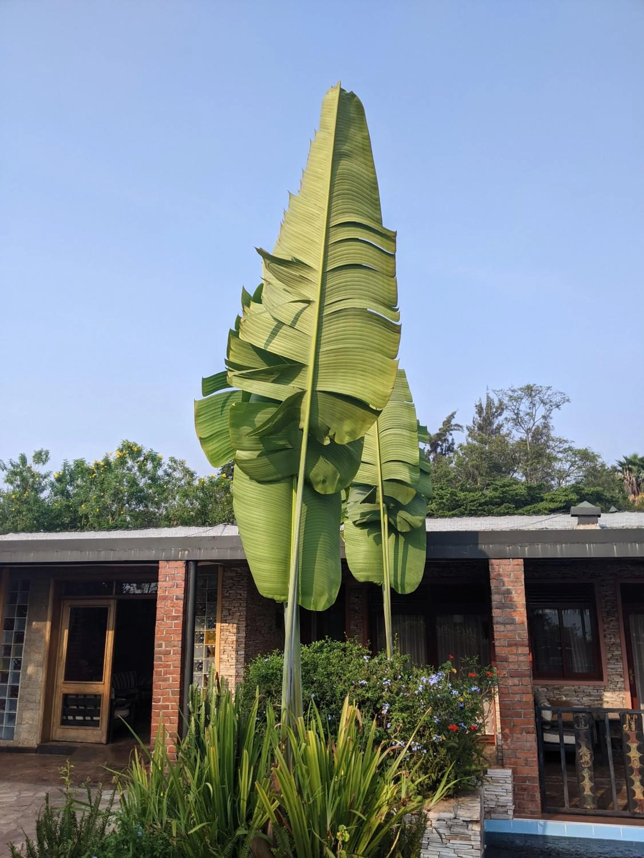 Inside Afrika Boutique Hotel