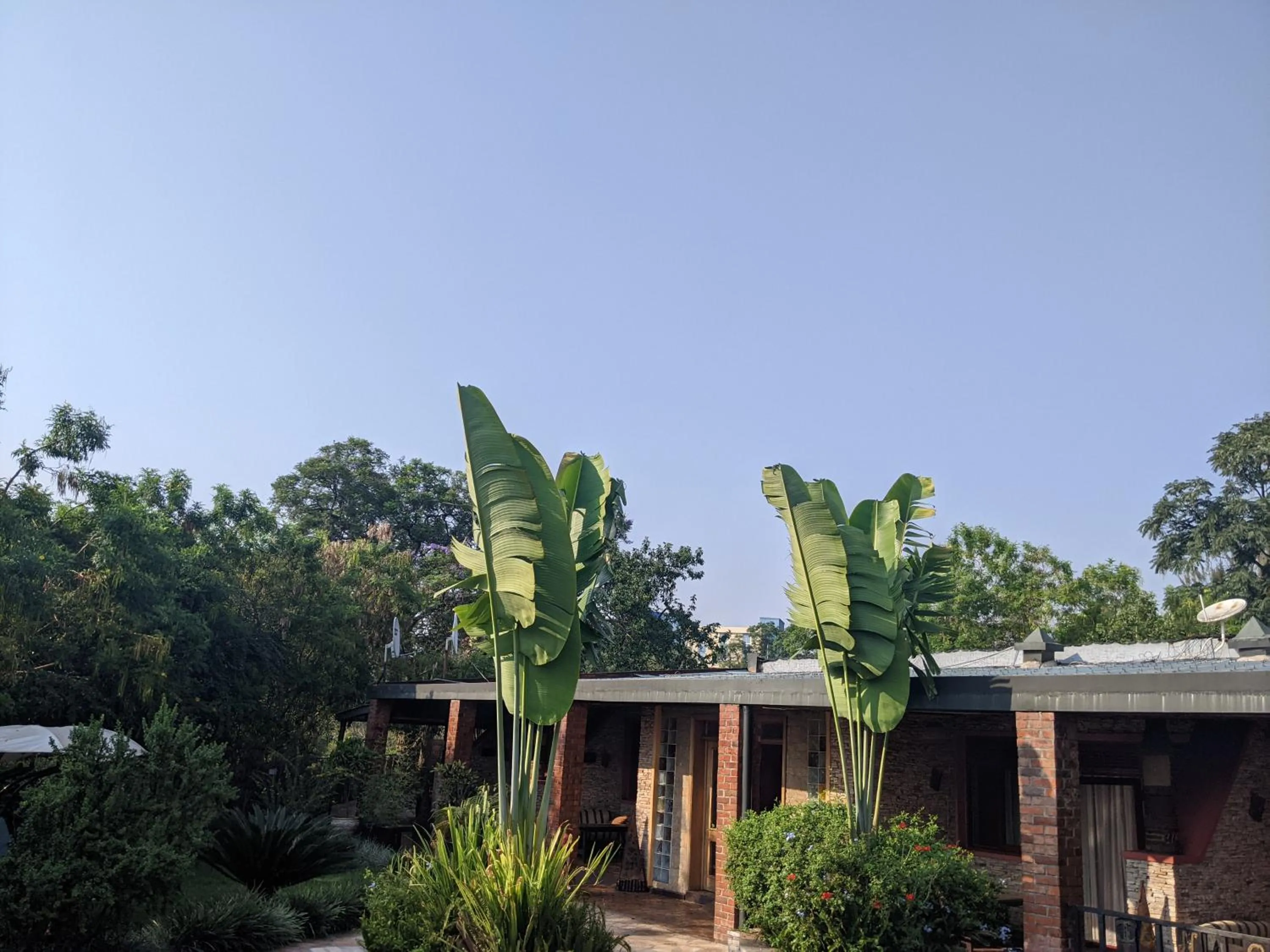 Garden in Inside Afrika Boutique Hotel