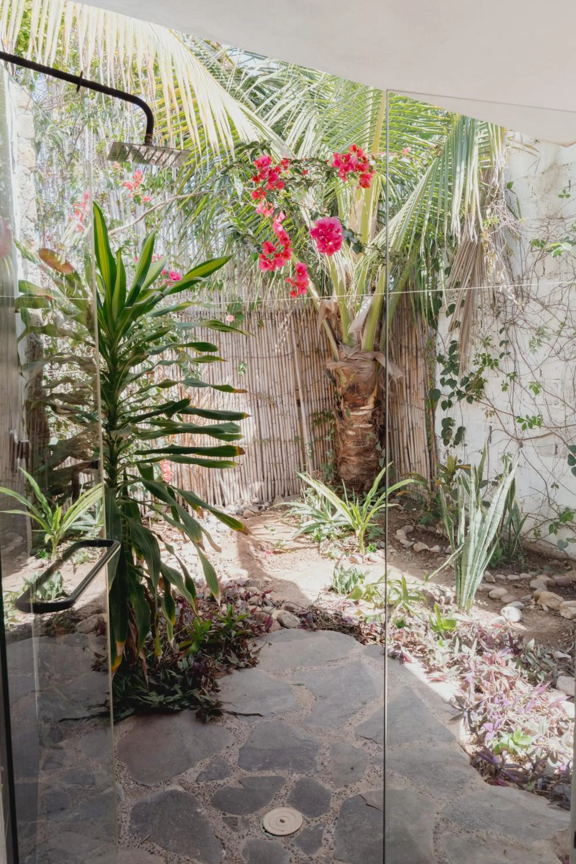 Natural landscape in Toninas México Bungalow