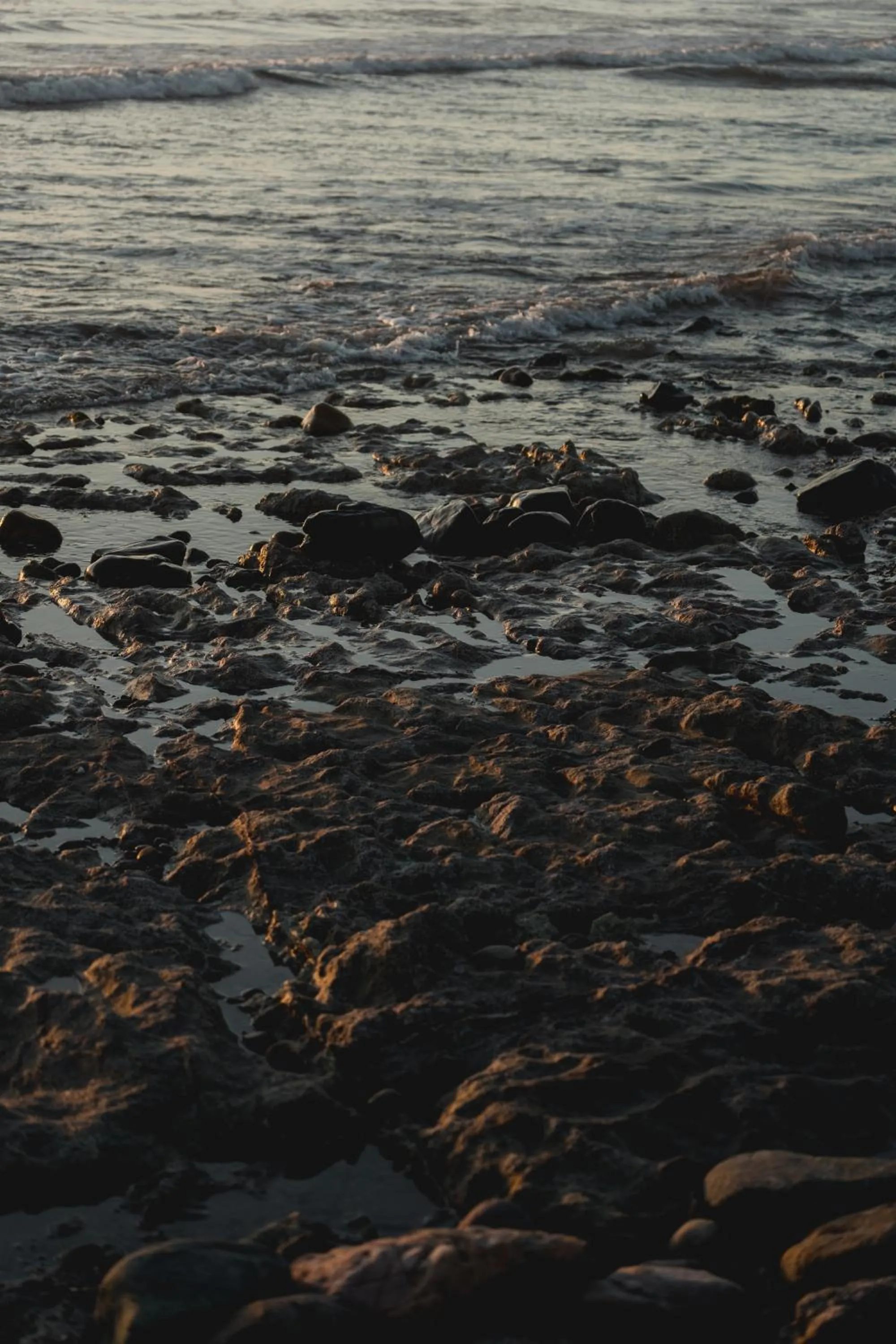 Natural landscape in Toninas México Bungalow