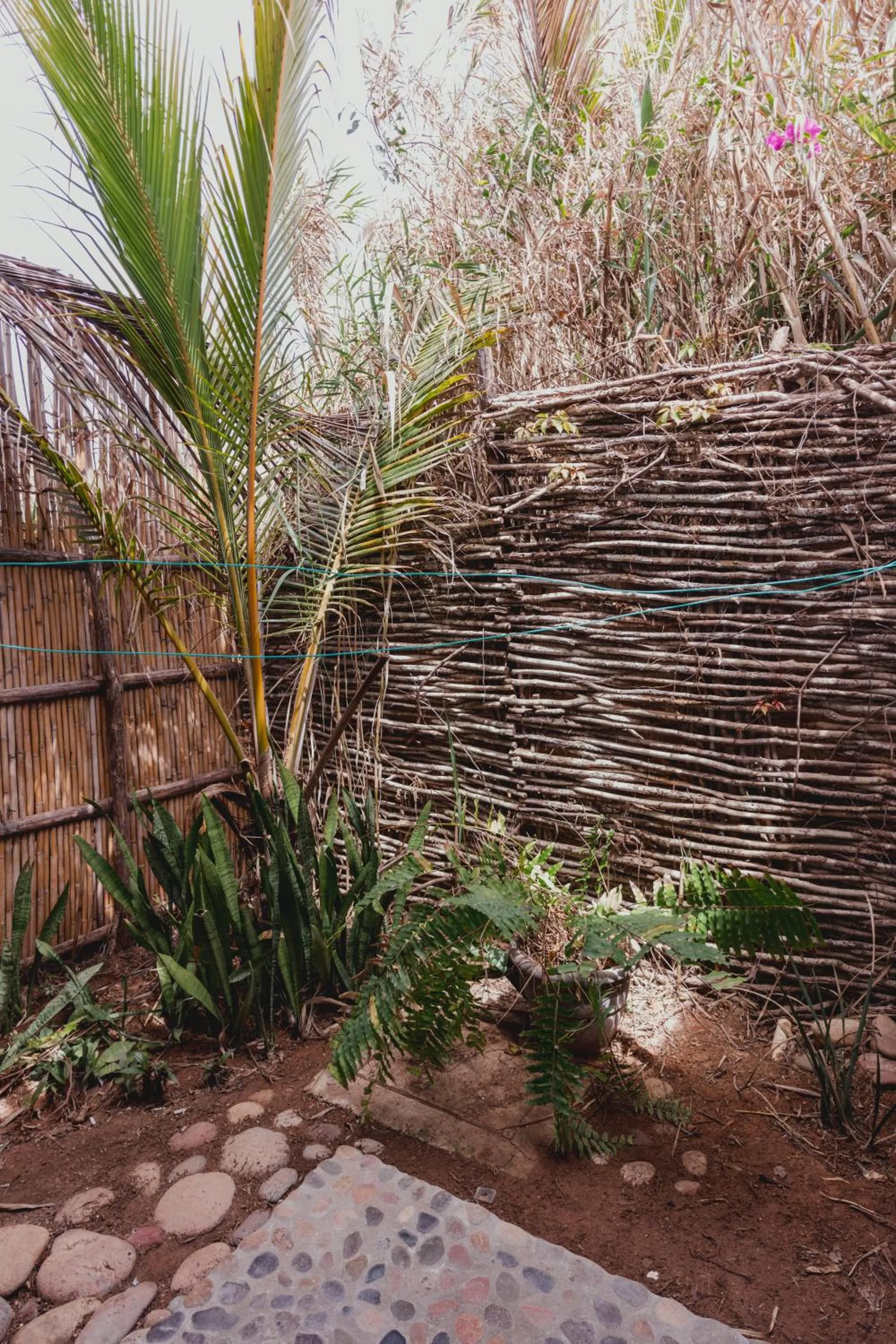 Garden in Toninas México Bungalow