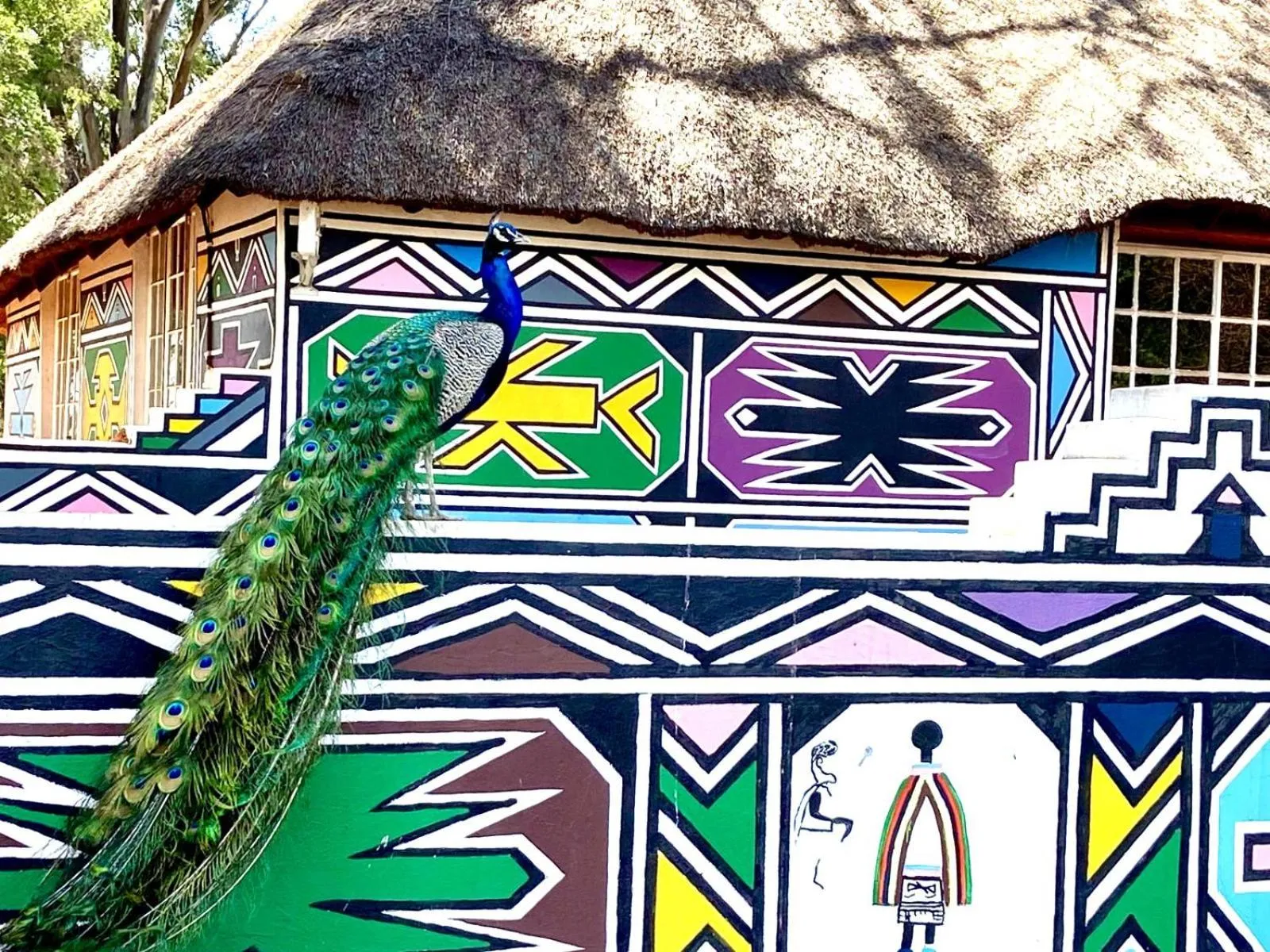 Property building in Zebra Nature Reserve