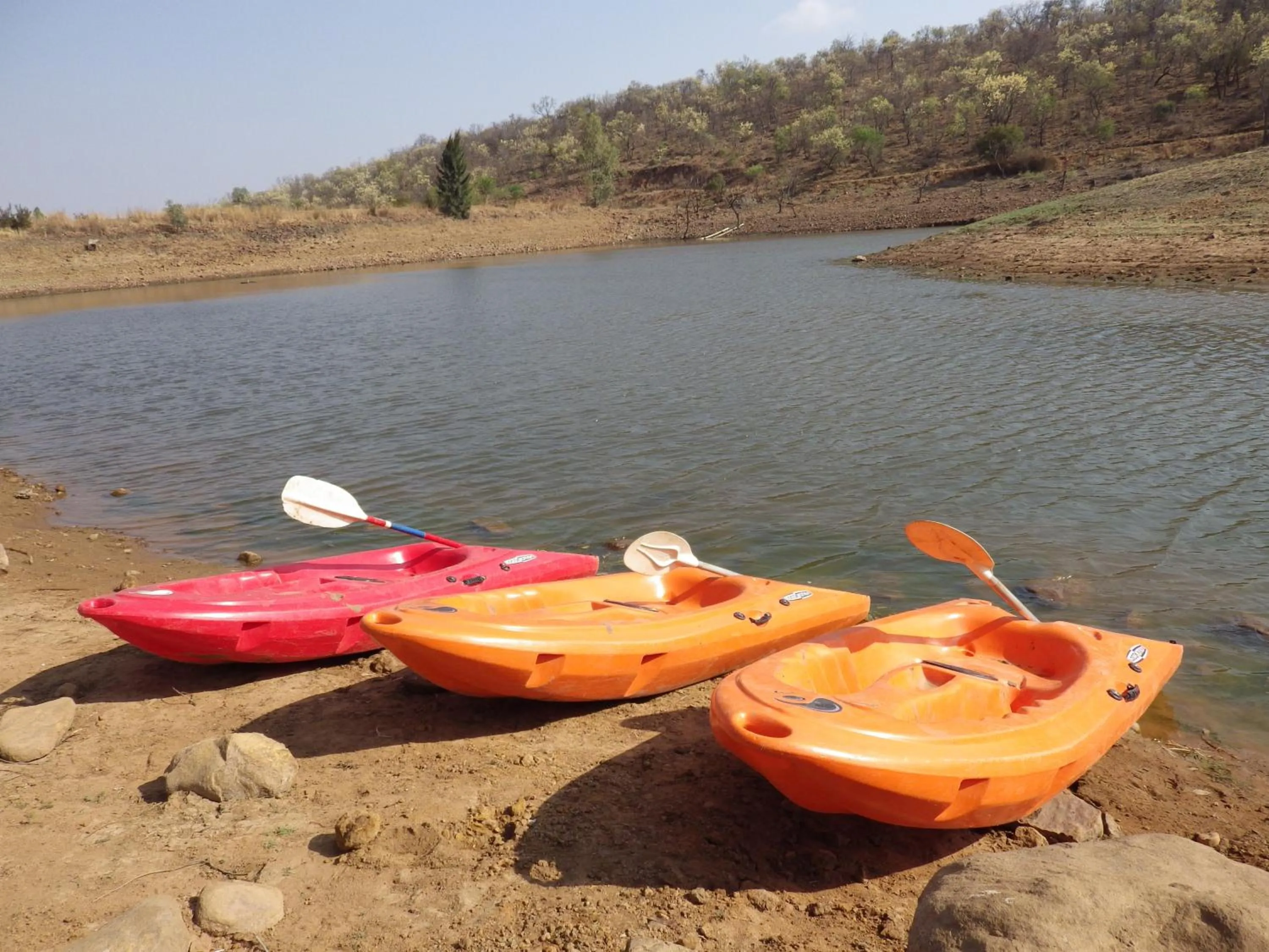 Spring in Zebra Nature Reserve