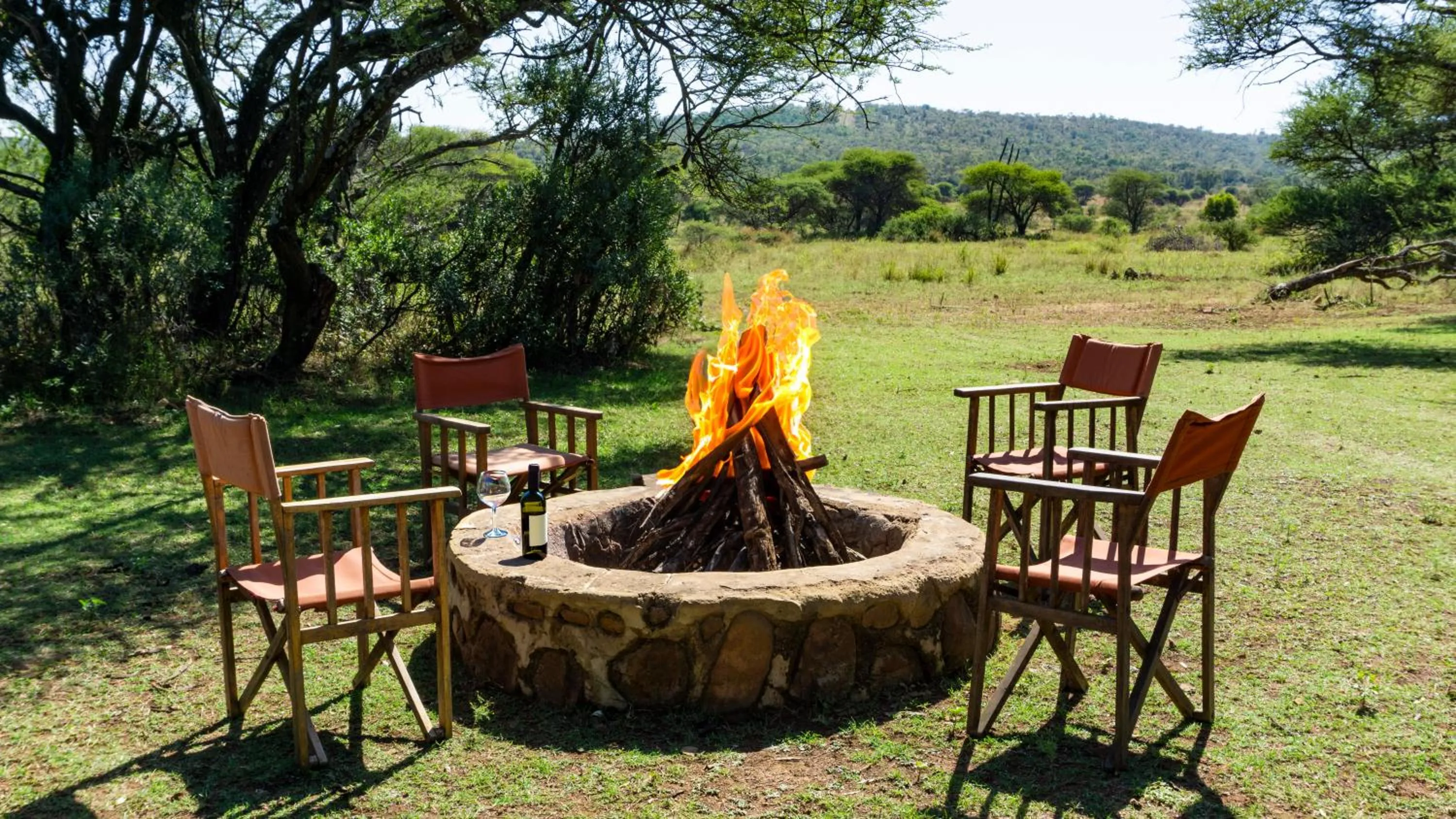 Other in Zebra Nature Reserve