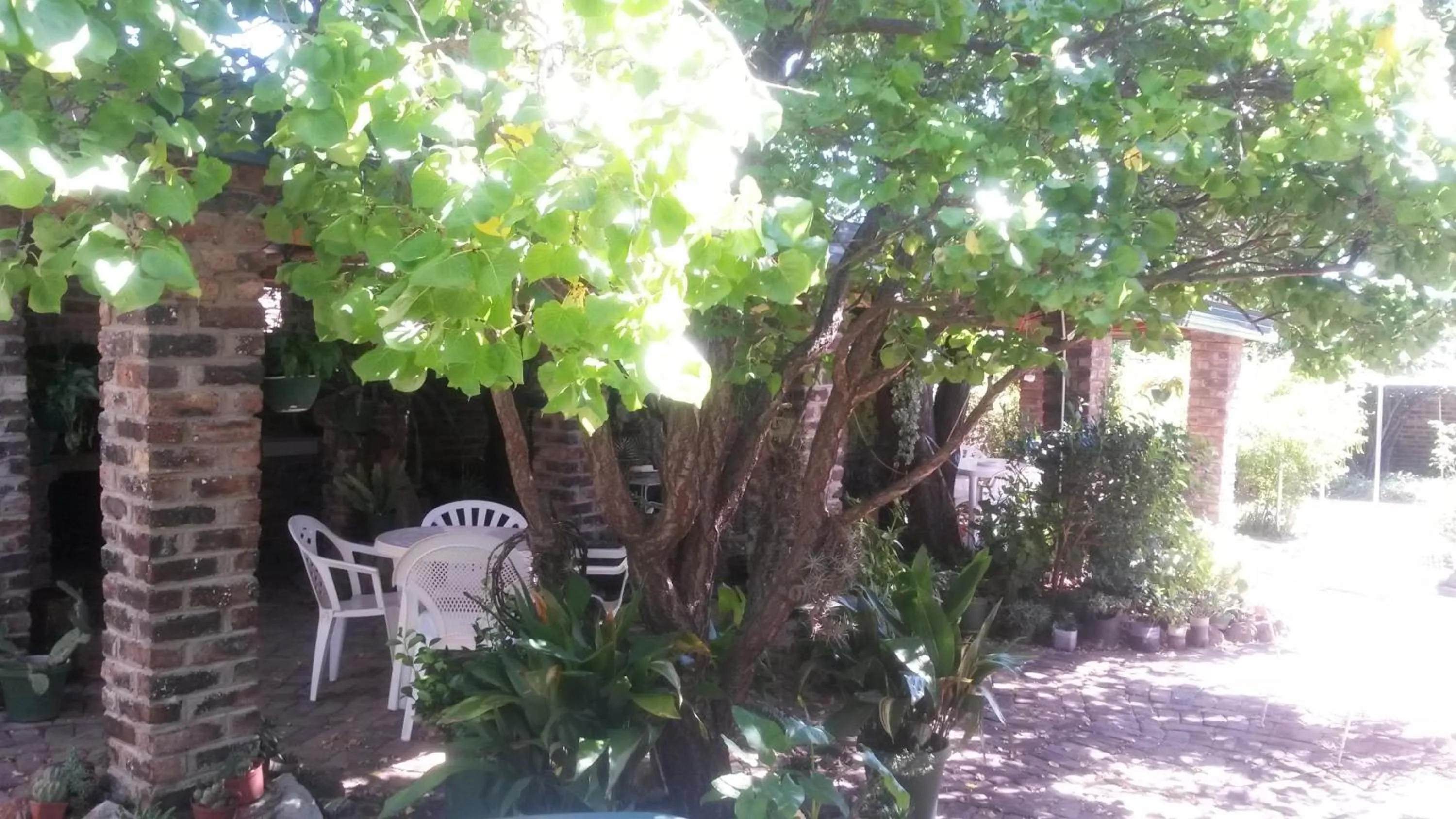 Garden in Onze Rust Guest House and caravanpark