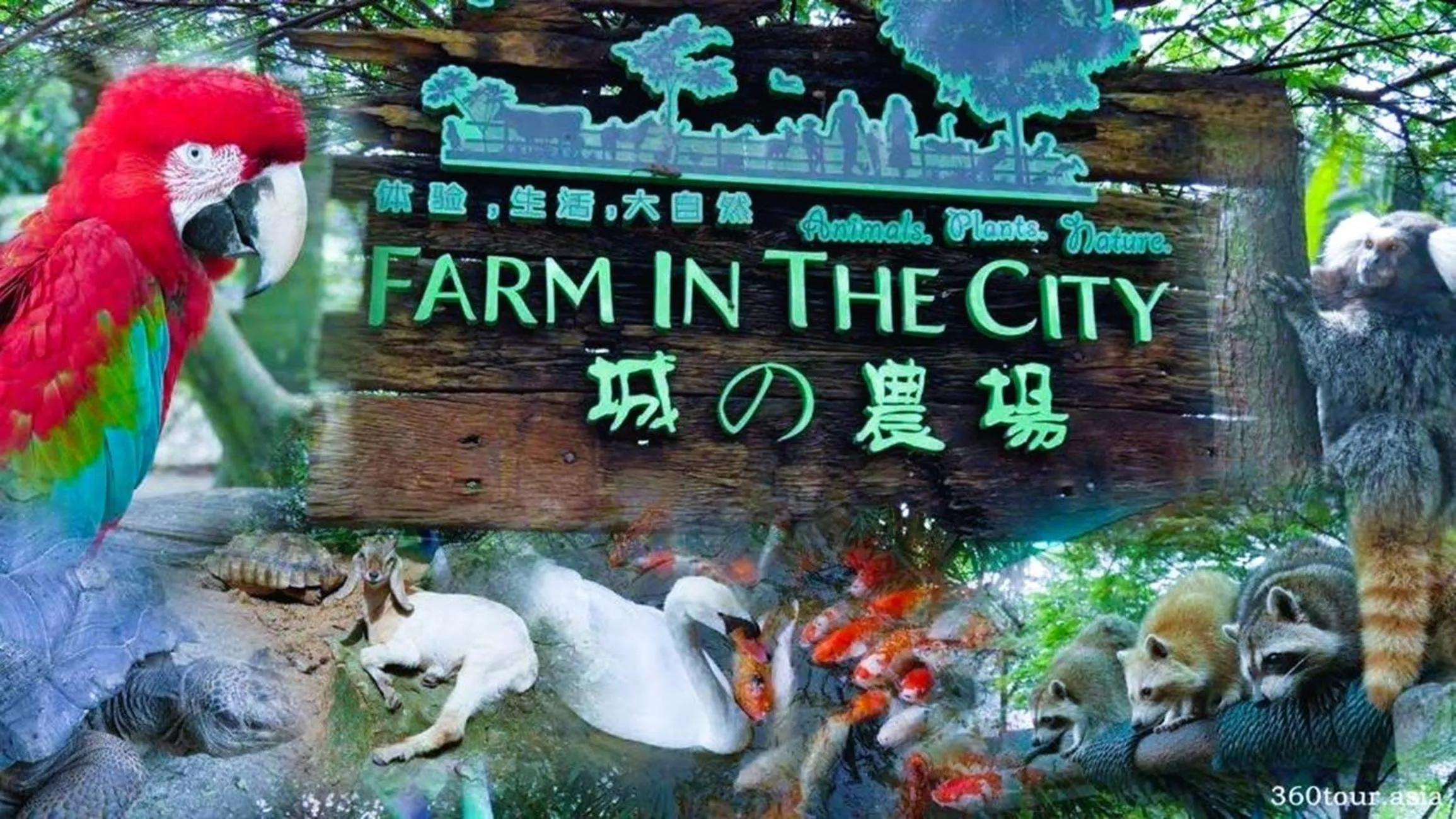 Natural landscape in ARK HOTEL SUBANG