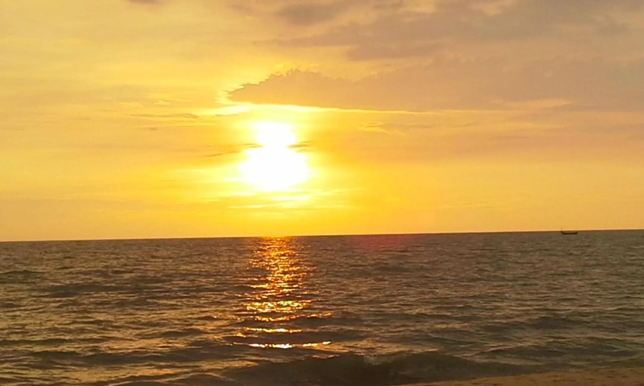 Natural landscape in Marari Beach House