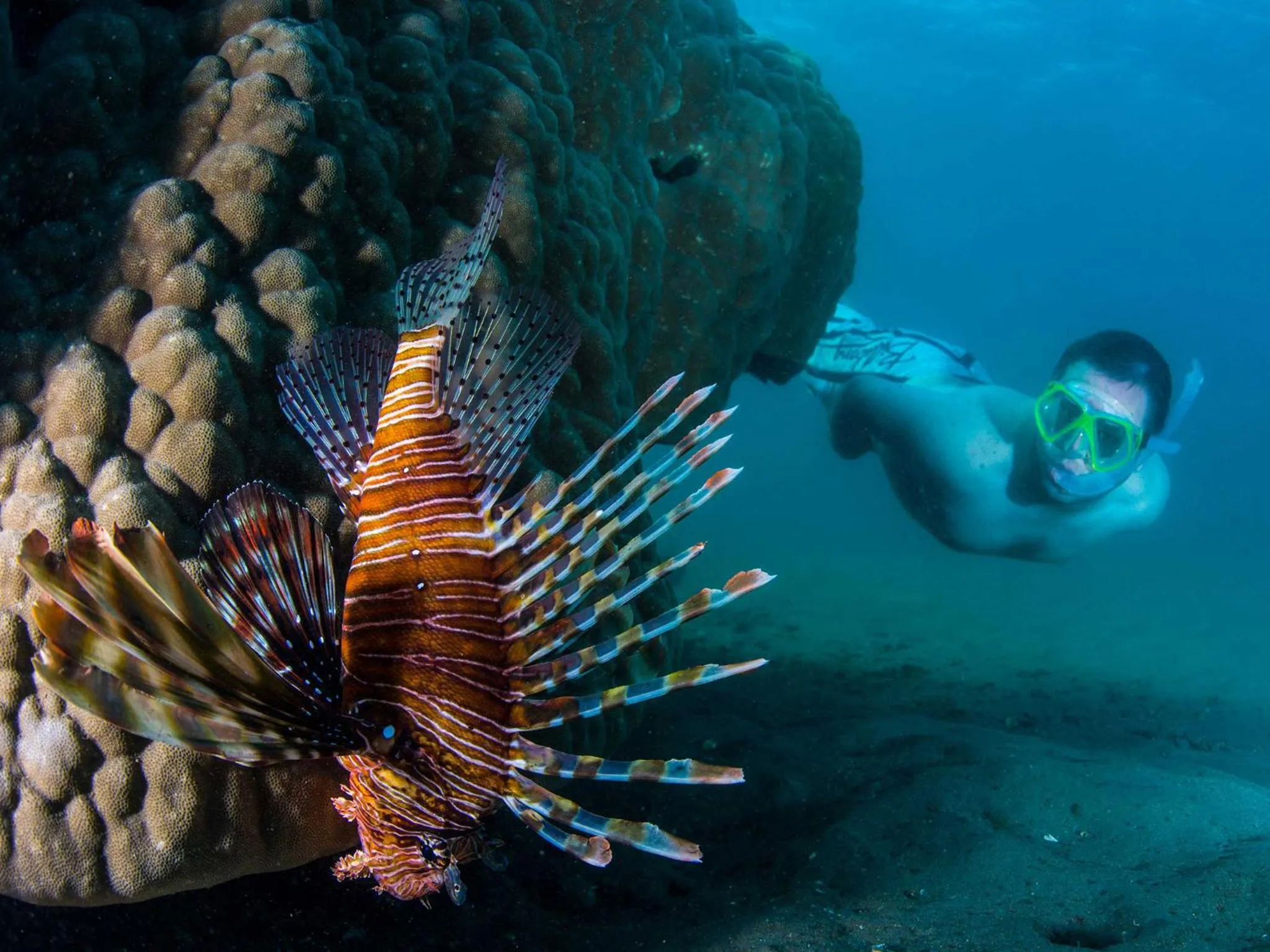 Snorkeling in Machangulo Beach Lodge