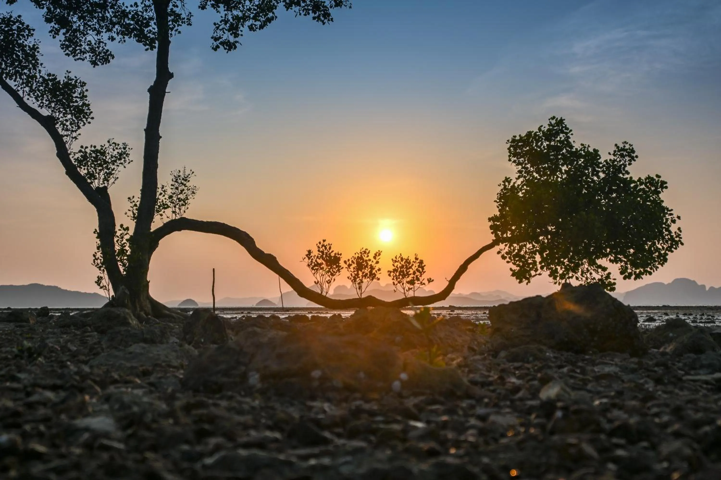 Natural landscape in Big Sun Residences By iRETREAT