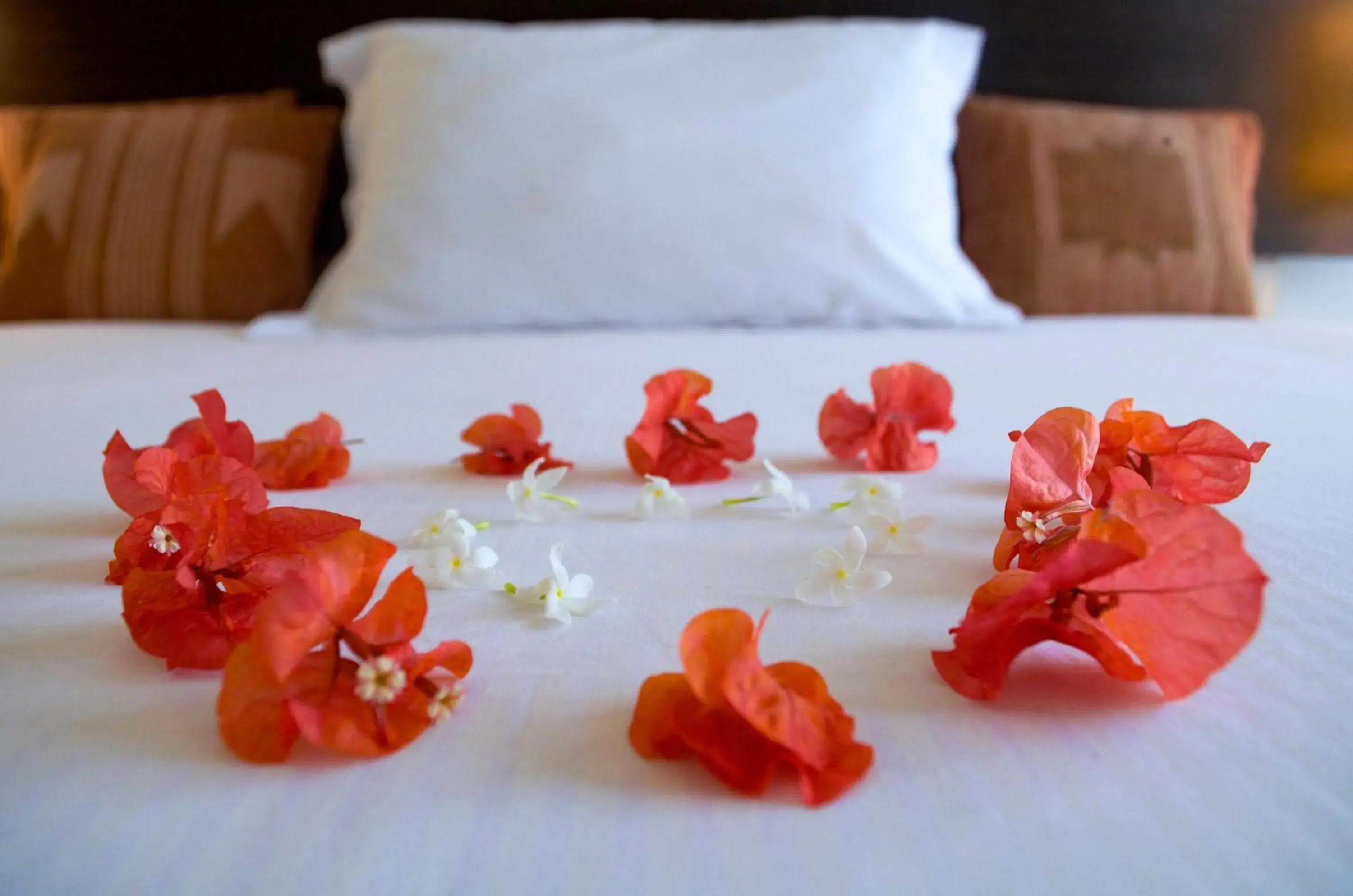 Bed in Villa Karingal Bed in Villa Karingal