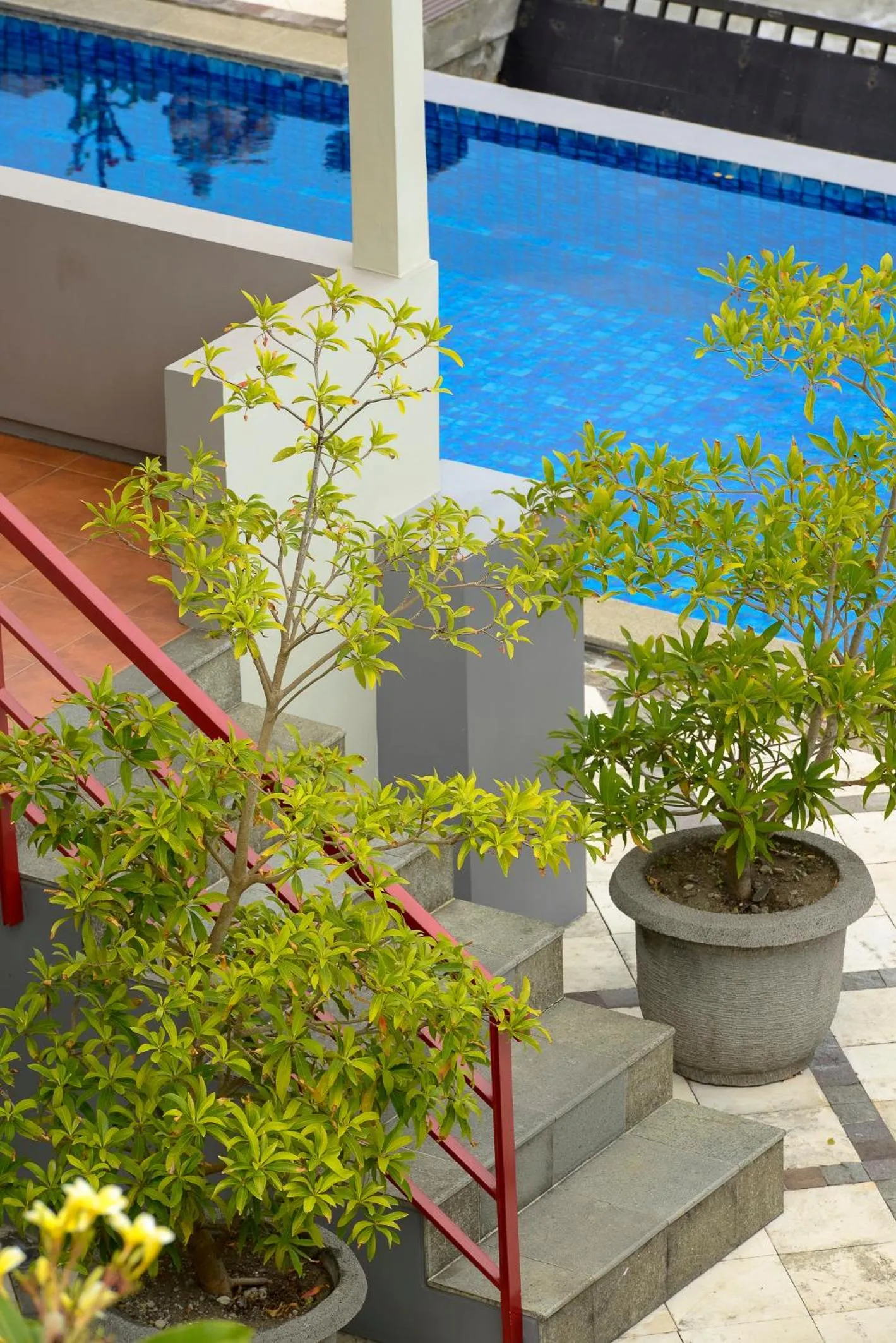 Balcony/Terrace in Villa Karingal