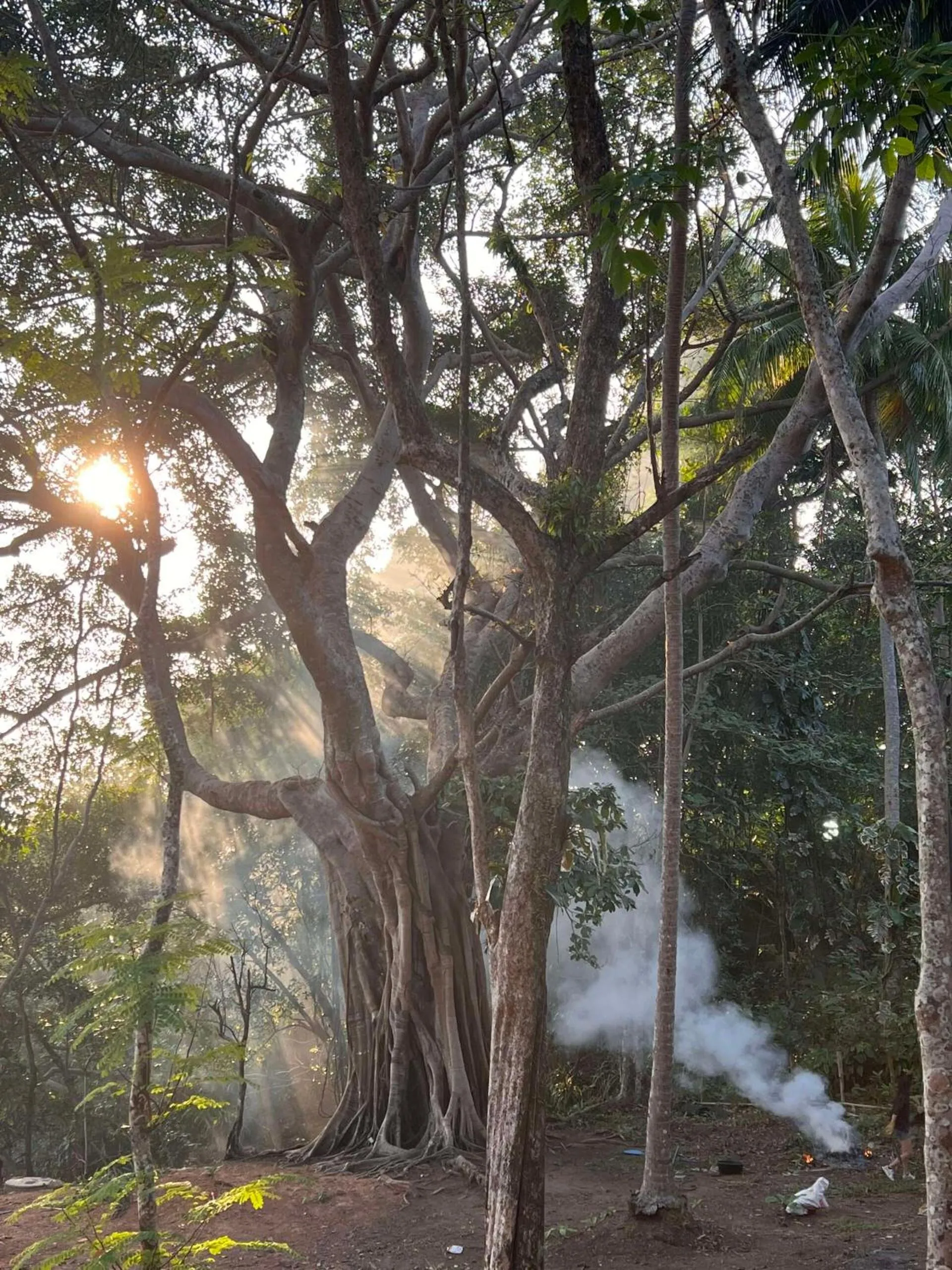 Padel Lodge Koh Chang