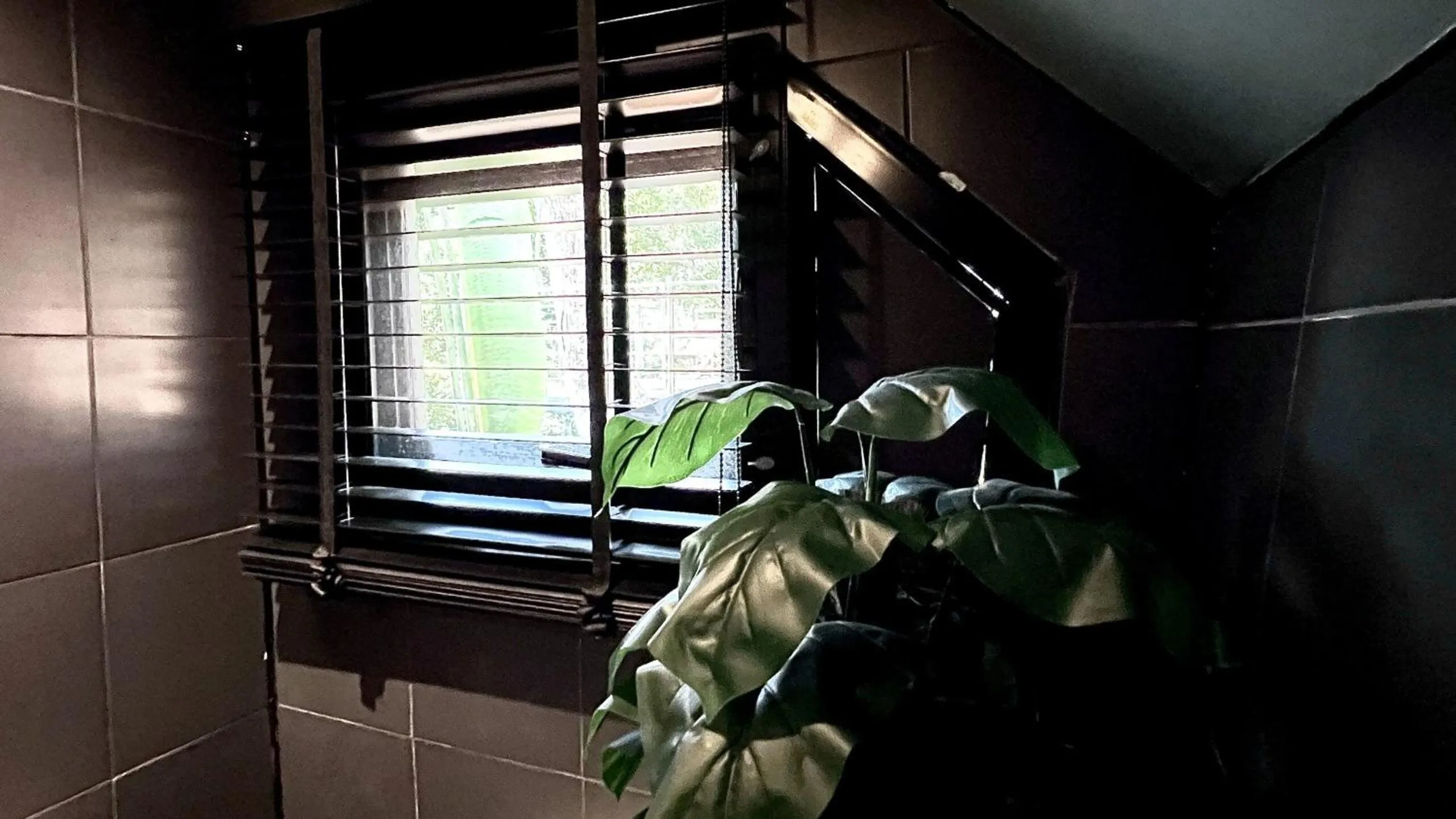 Padel Lodge Koh Chang