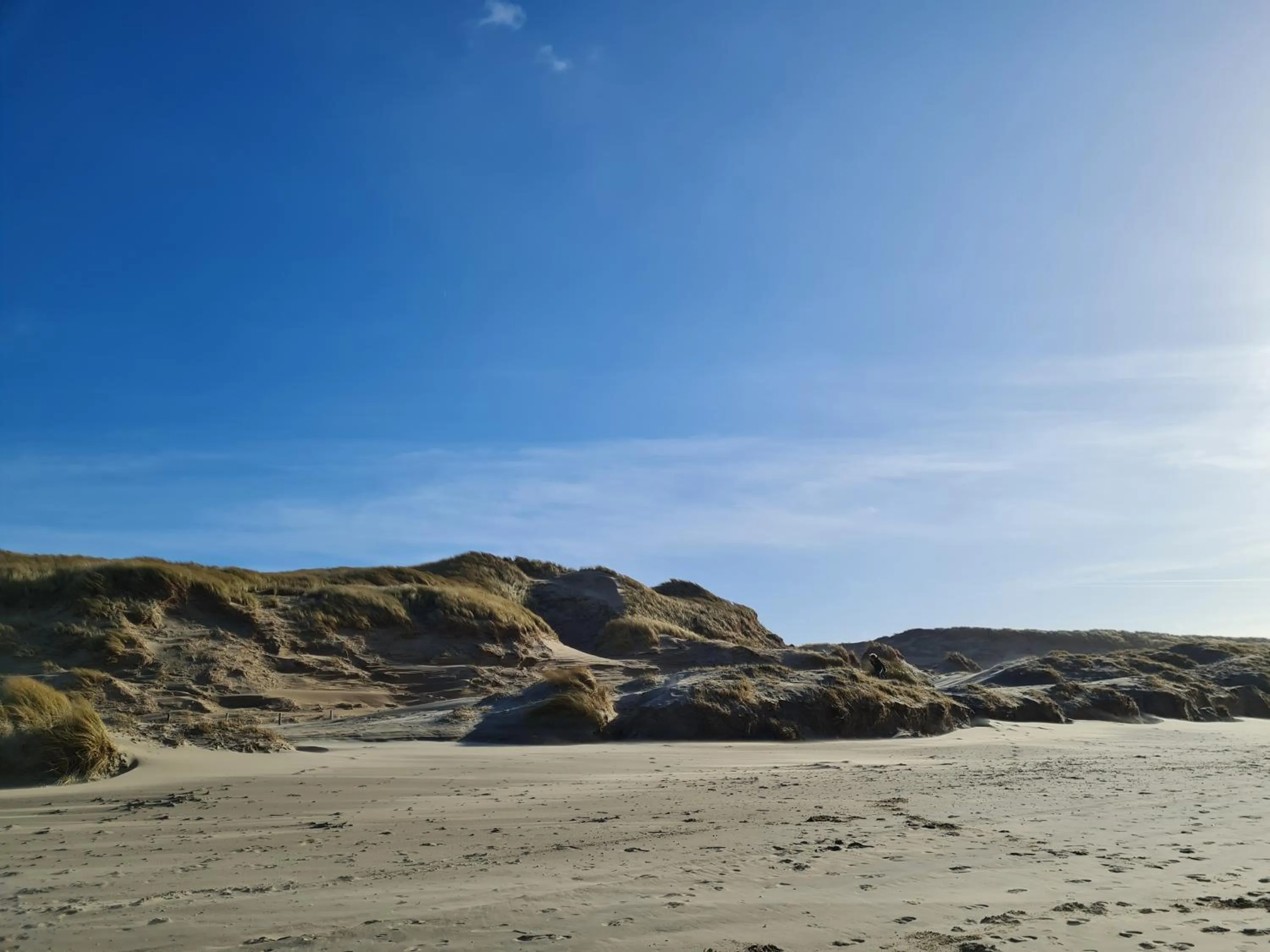 Beach in Hotel Bloemendaal by BHC