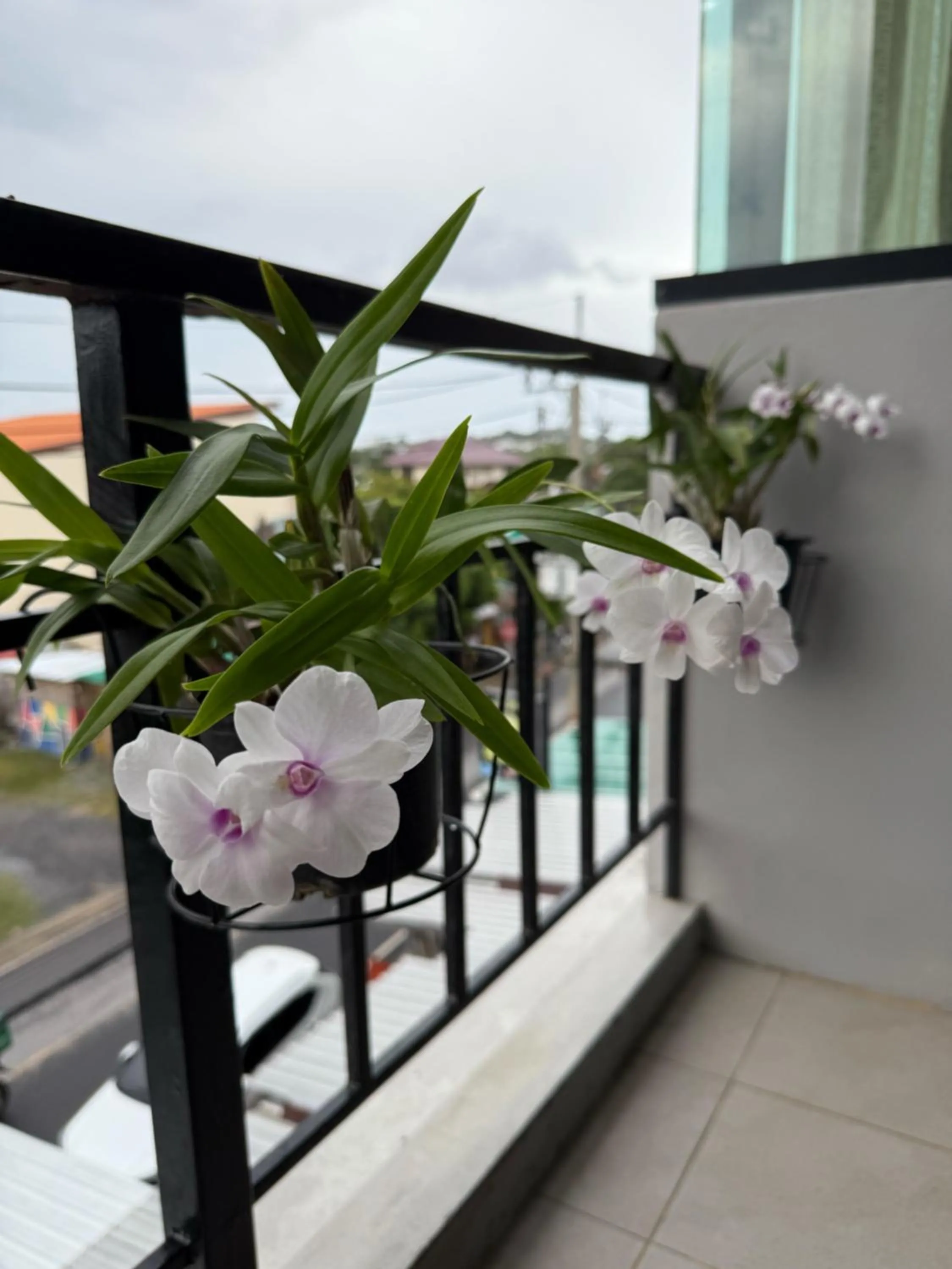 Maria's Guest House, Rawai
