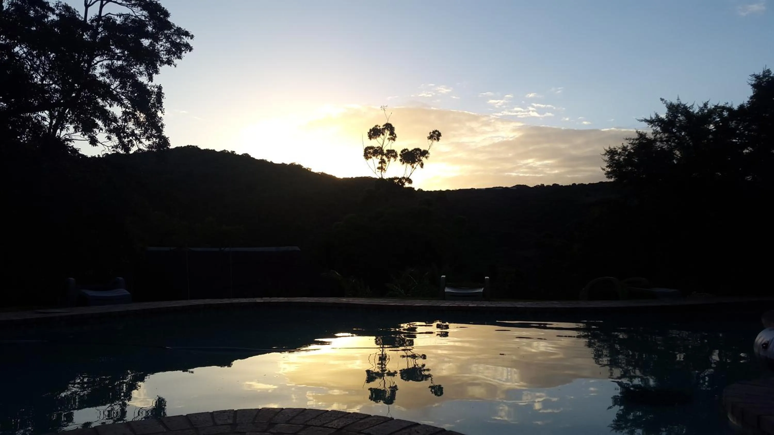 Garden in Fish Eagle Manor