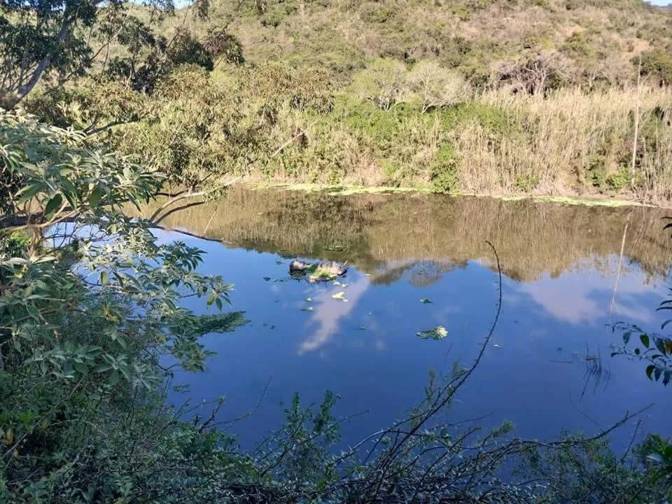 River view in Fish Eagle Manor