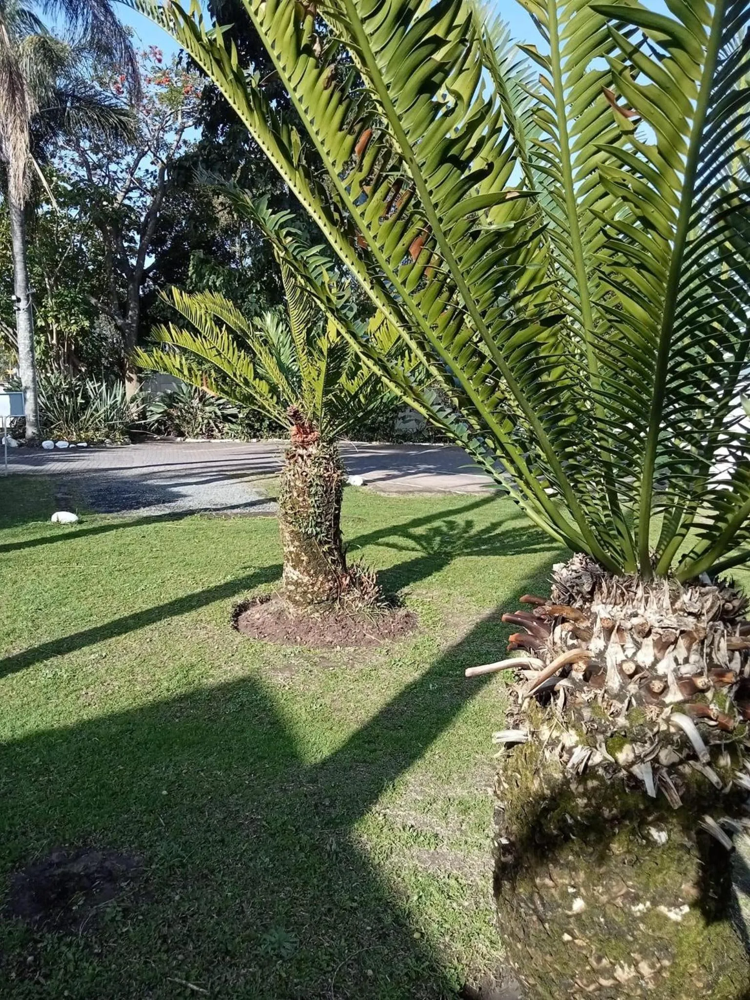 Garden in Fish Eagle Manor