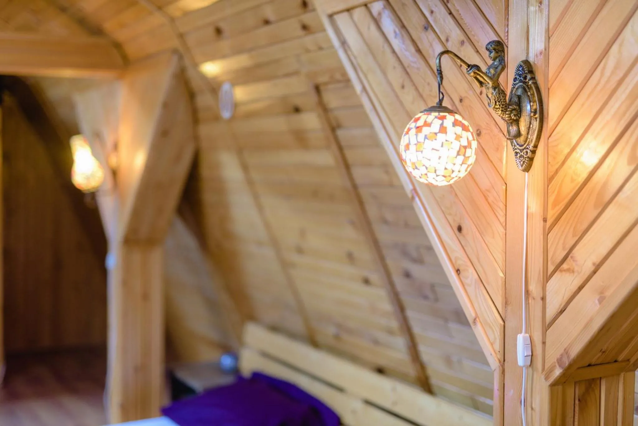 Wooden Attic