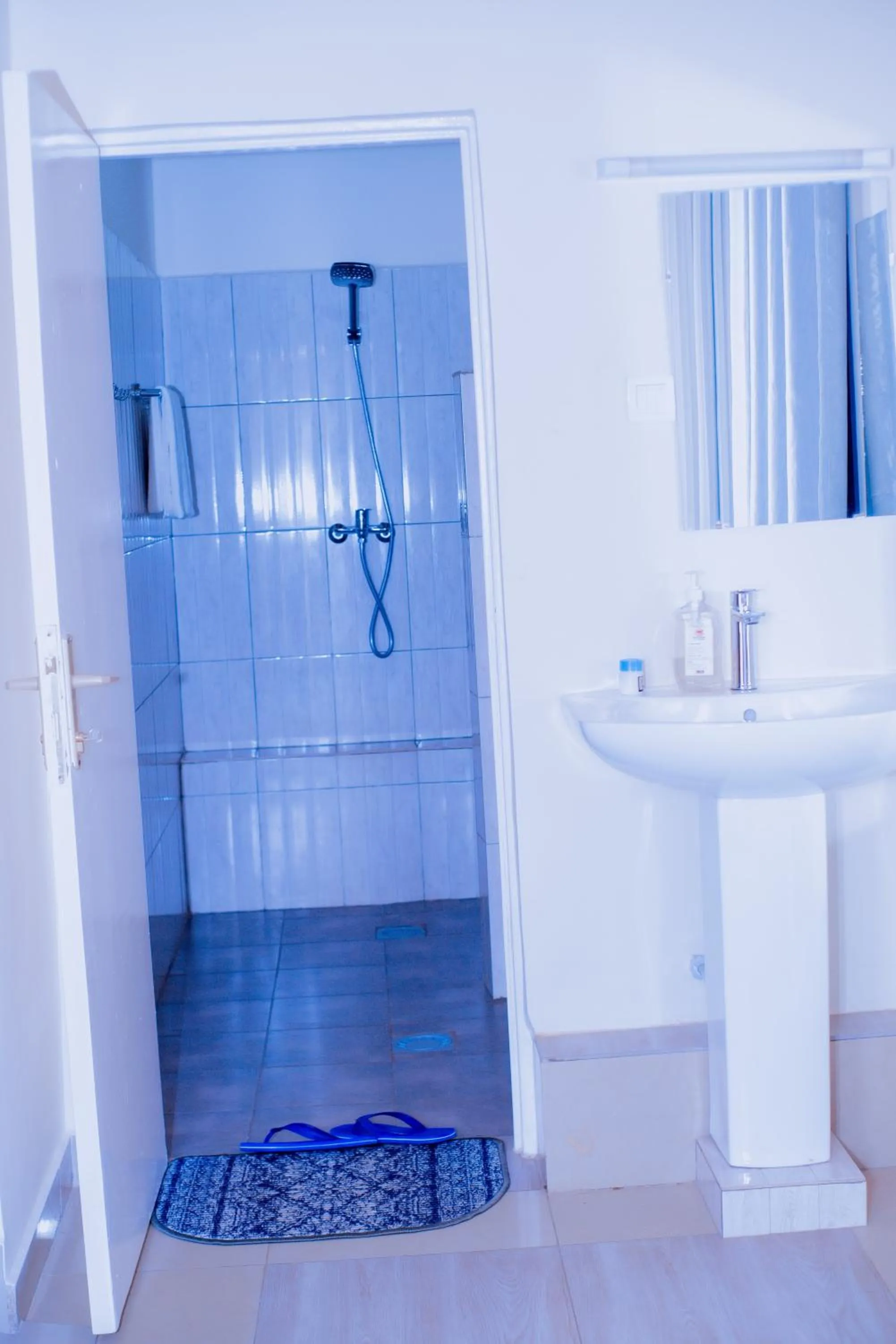 Shower in Green View Apartments