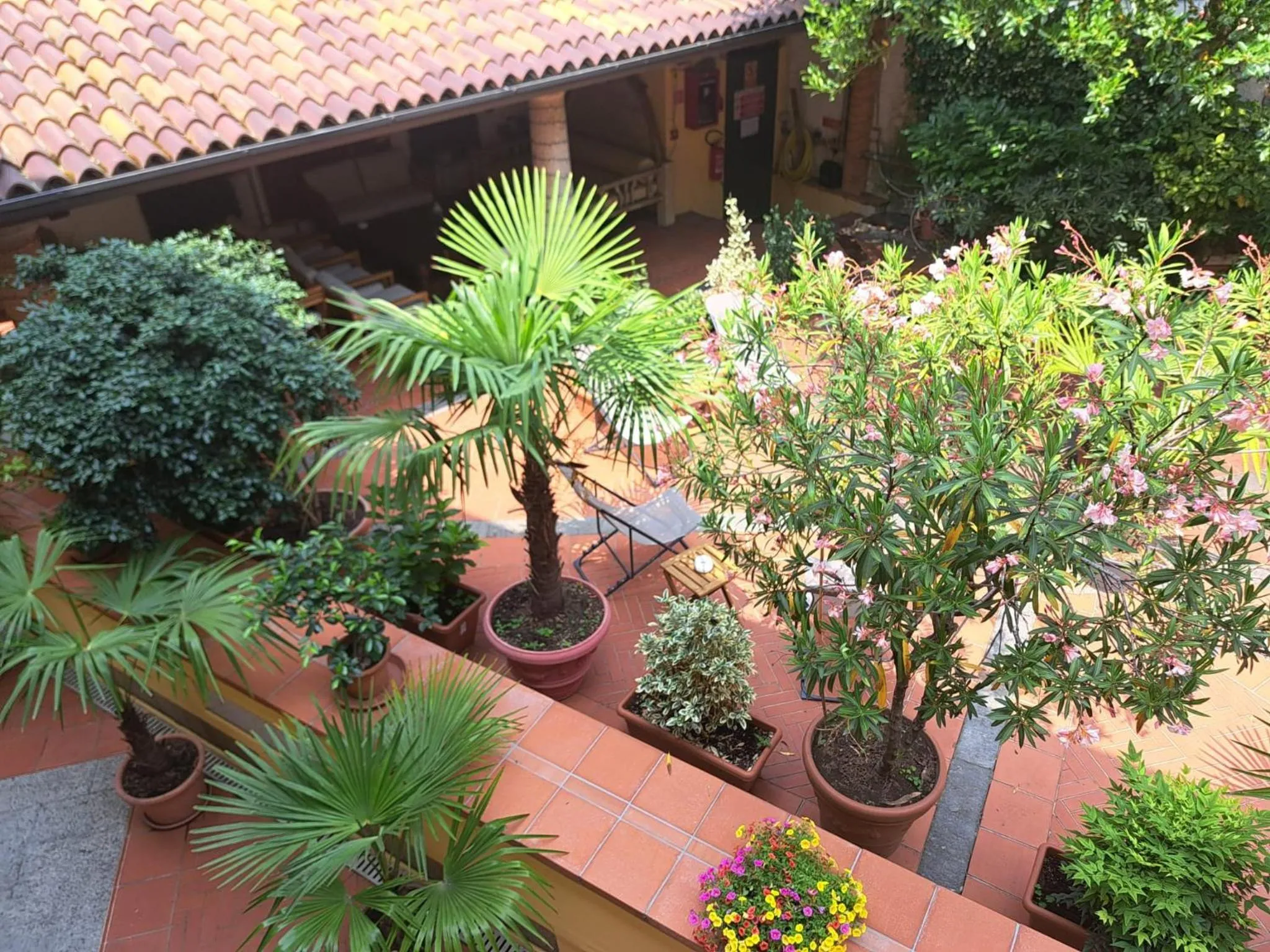 Garden in Monolocale Beatrice Abbadesse Guest House M3-M5 Zara