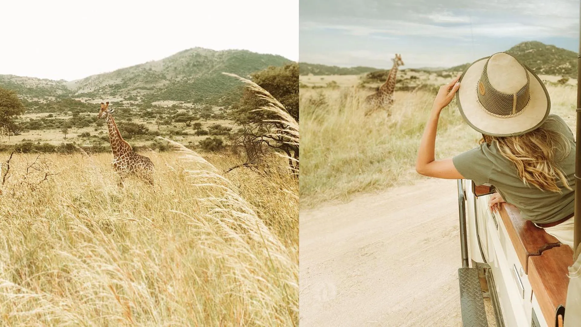 Animals in Nkomazi Game Reserve by NEWMARK