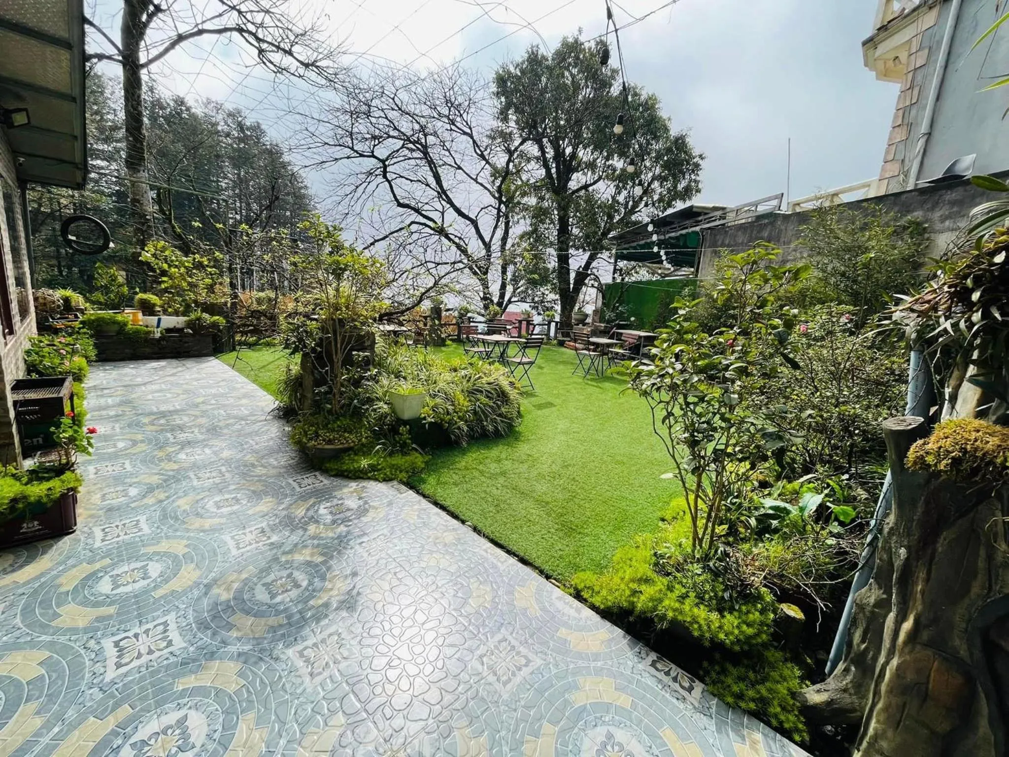 Natural landscape in Sapa Friendly Inn Hotel