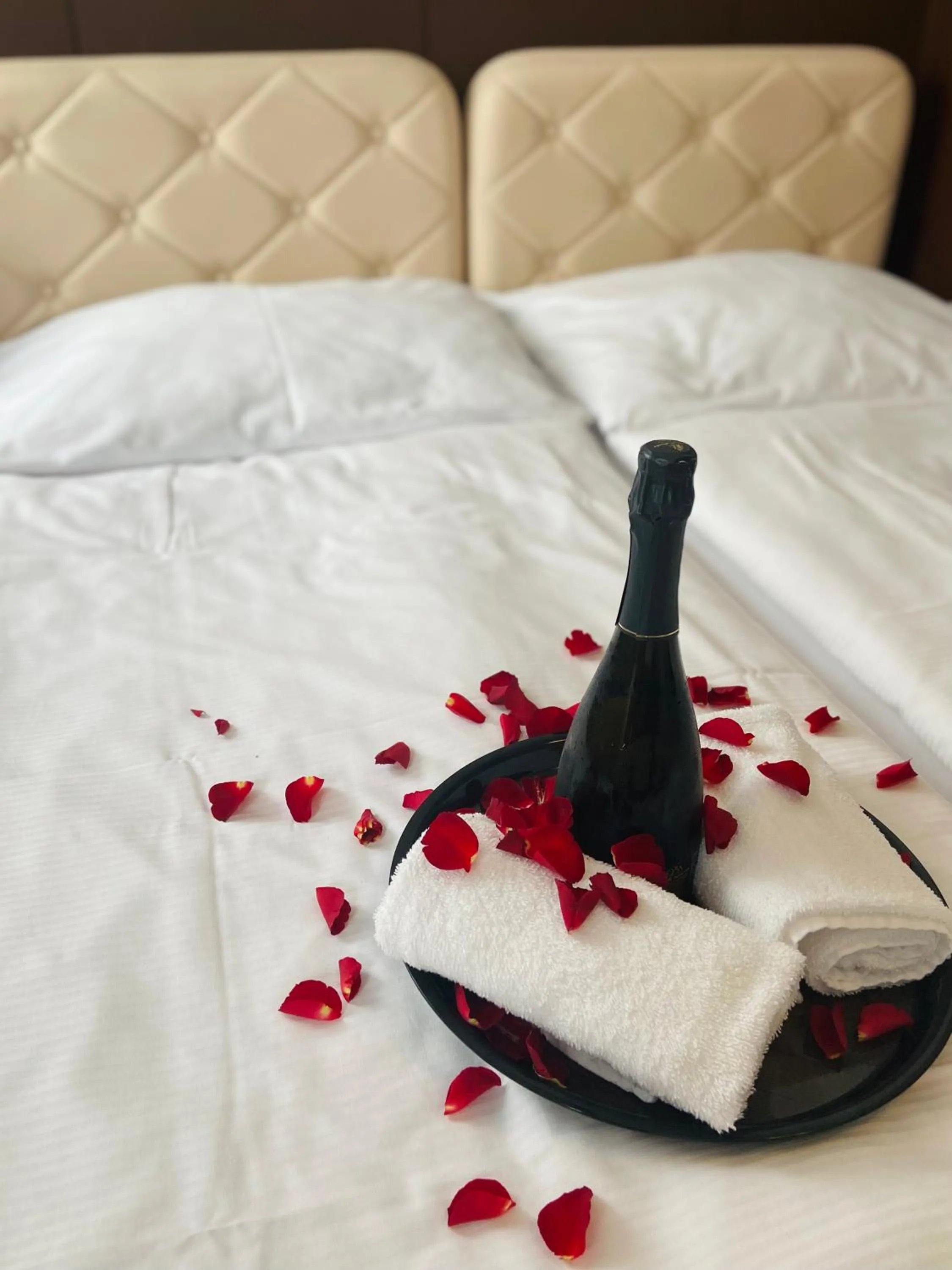 hair dresser, Bed in Hotel Ďumbier