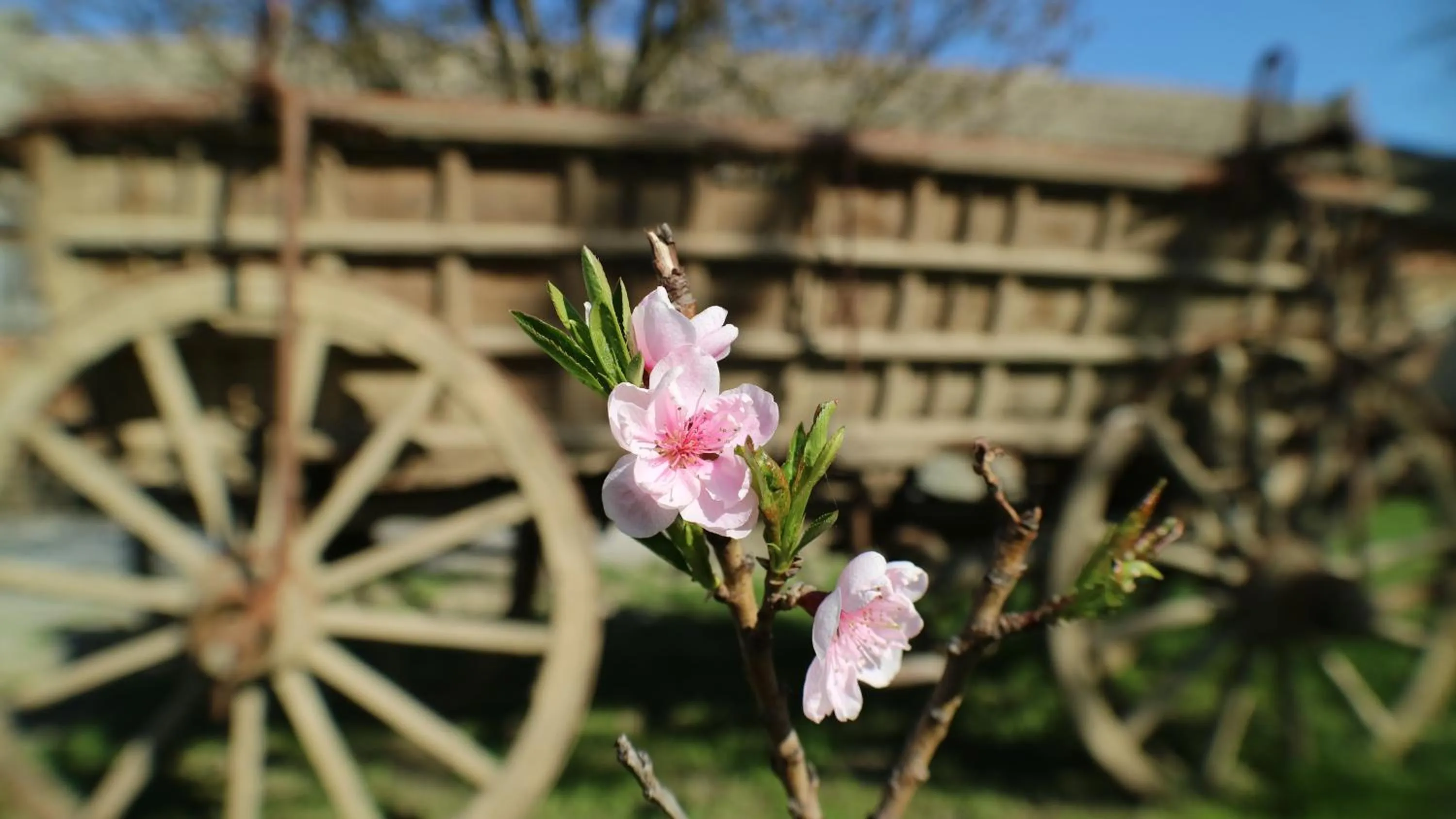 Property building in Hotel Lug