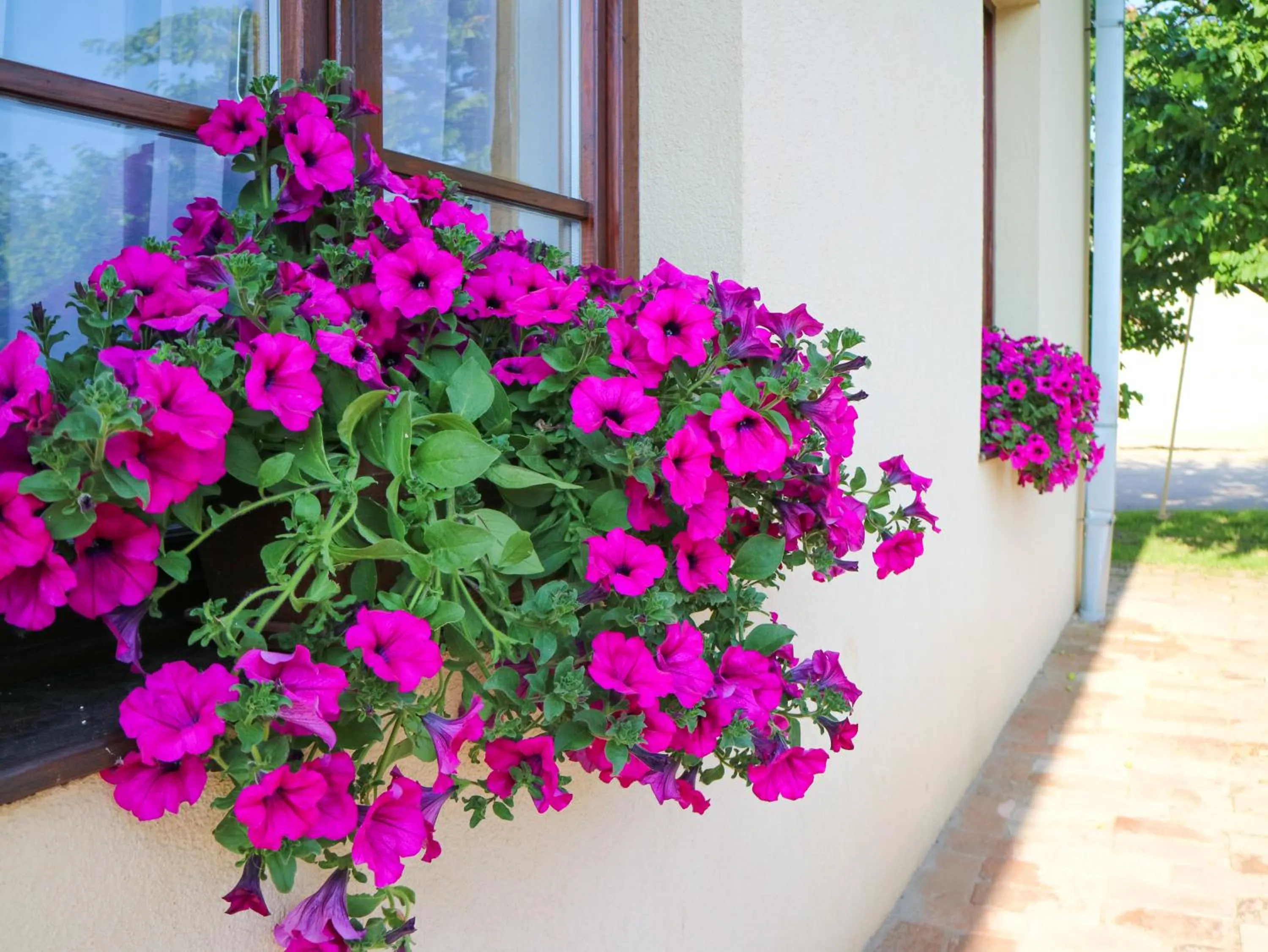 Facade/entrance in Hotel Lug