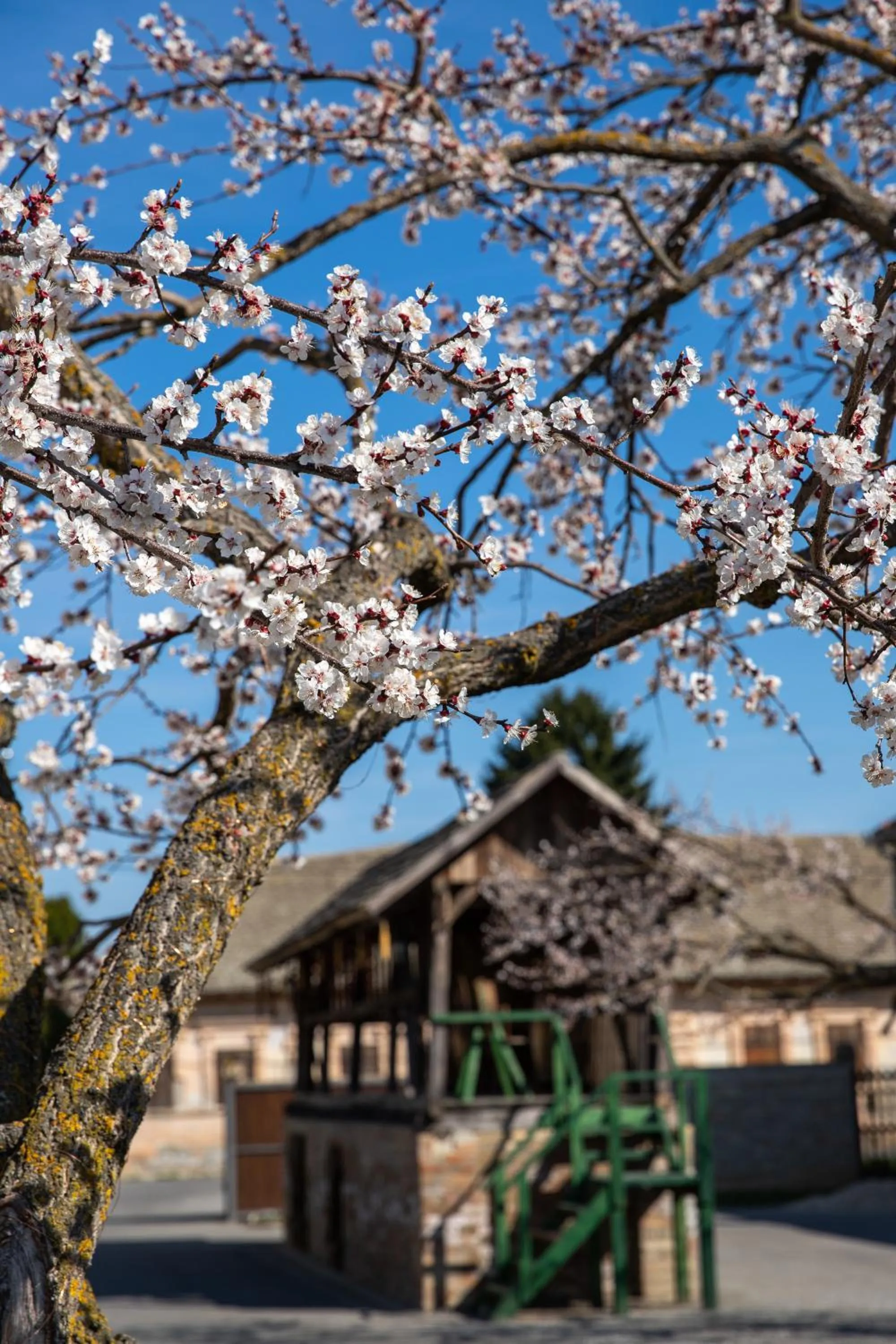 Property building in Hotel Lug
