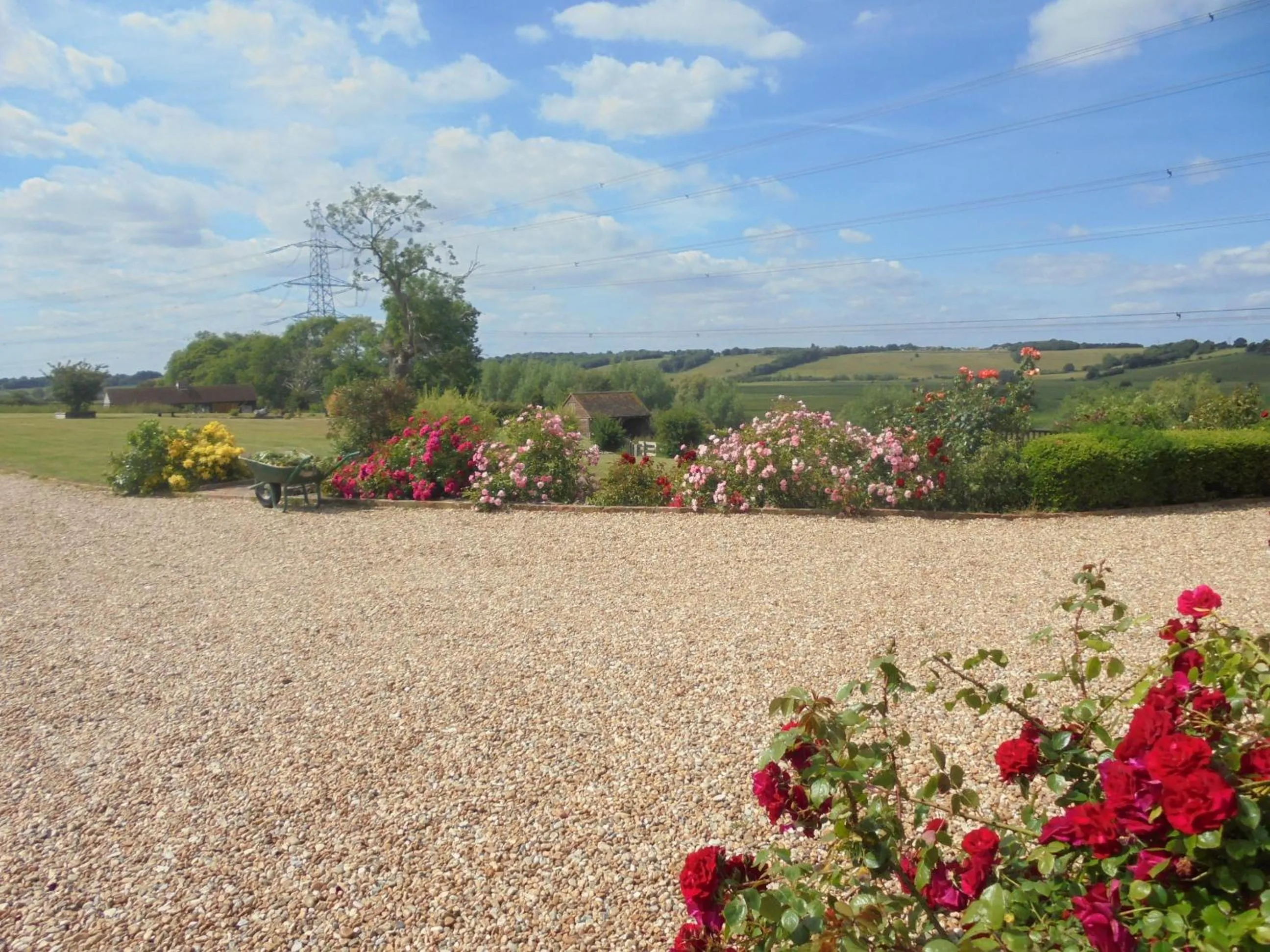 Garden view in Rose Cottage