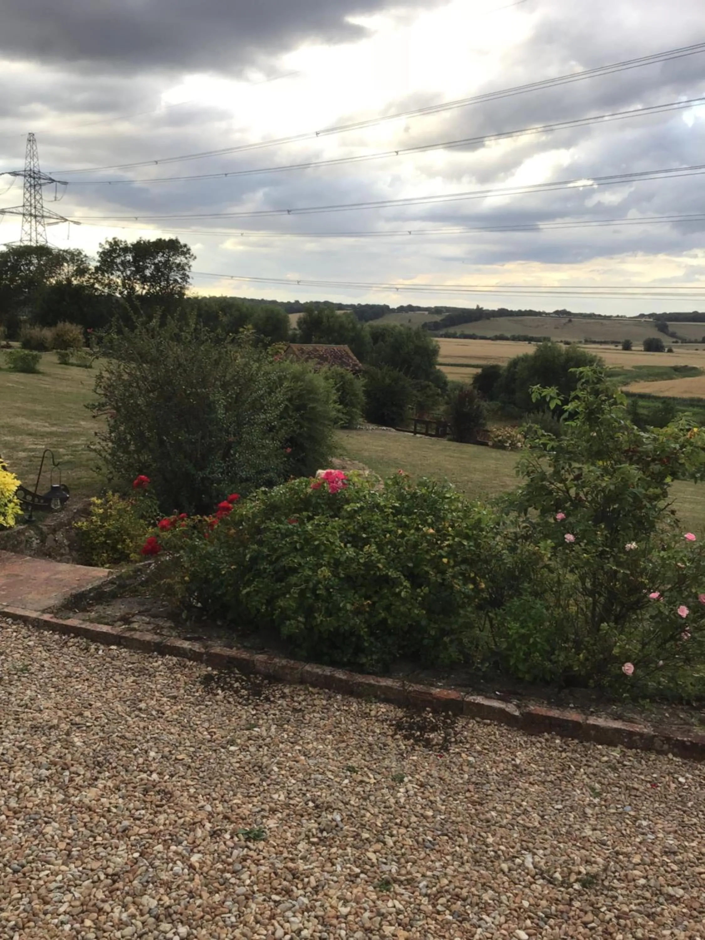 Natural landscape in Rose Cottage