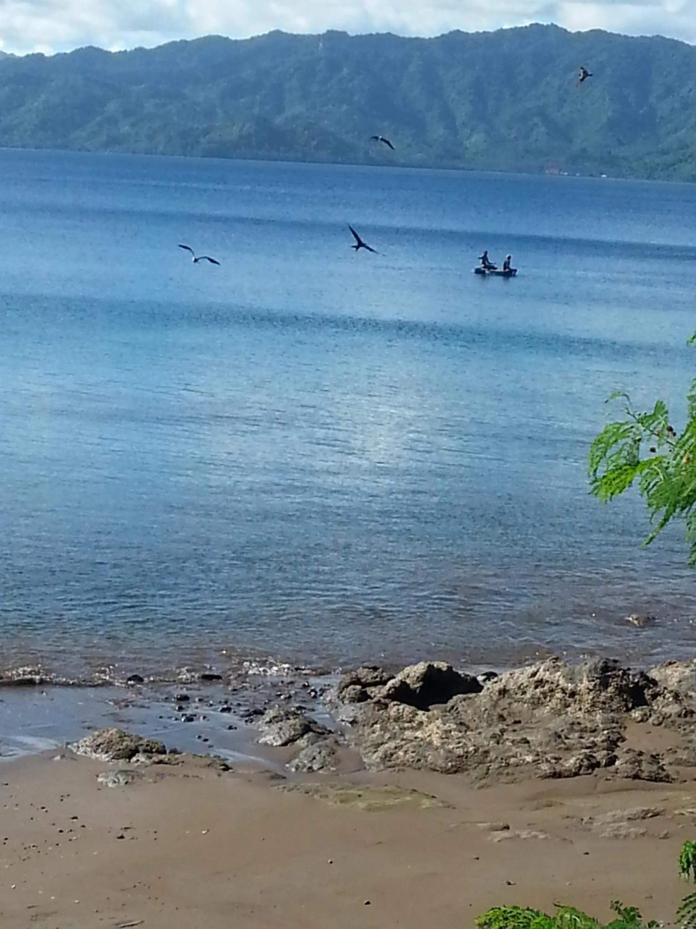 Day in Gecko Lodge Fiji