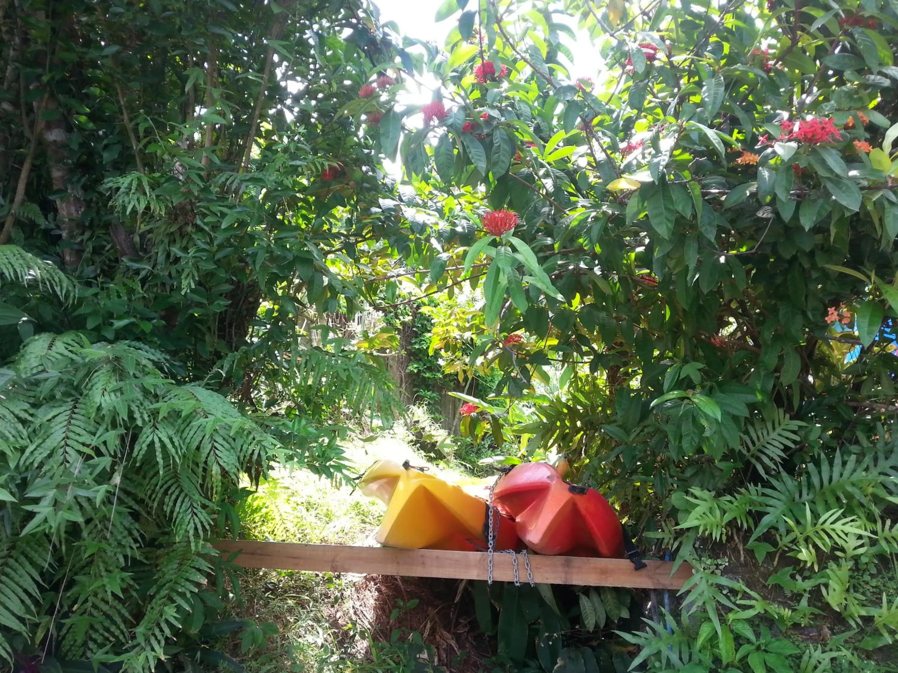 Activities in Gecko Lodge Fiji