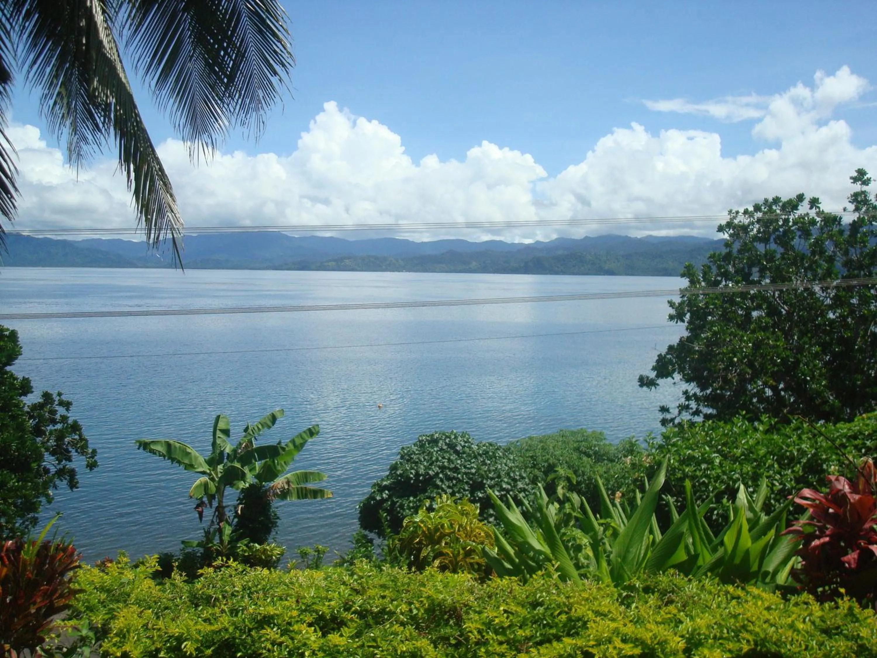 View (from property/room) in Gecko Lodge Fiji