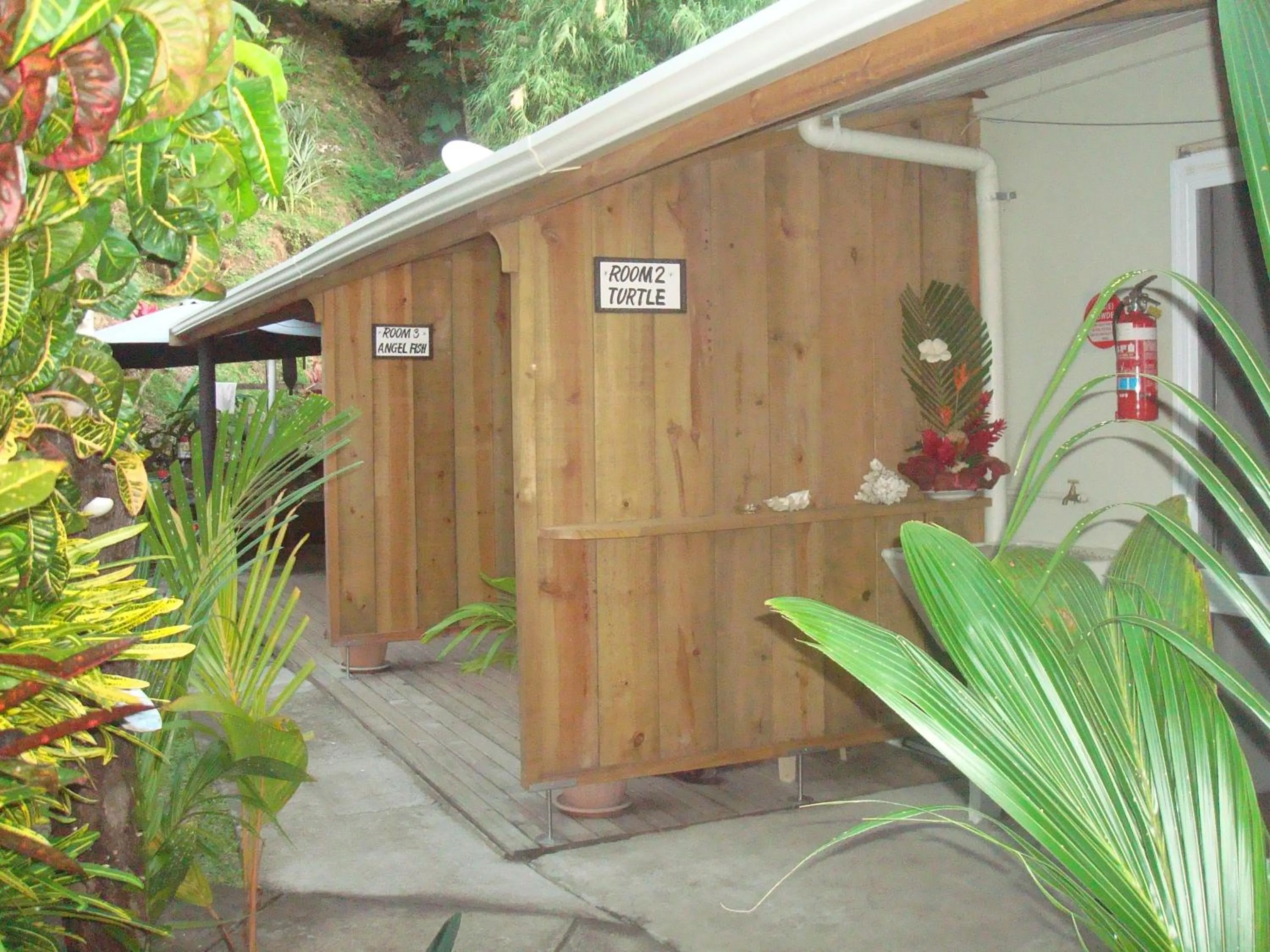 Other in Gecko Lodge Fiji