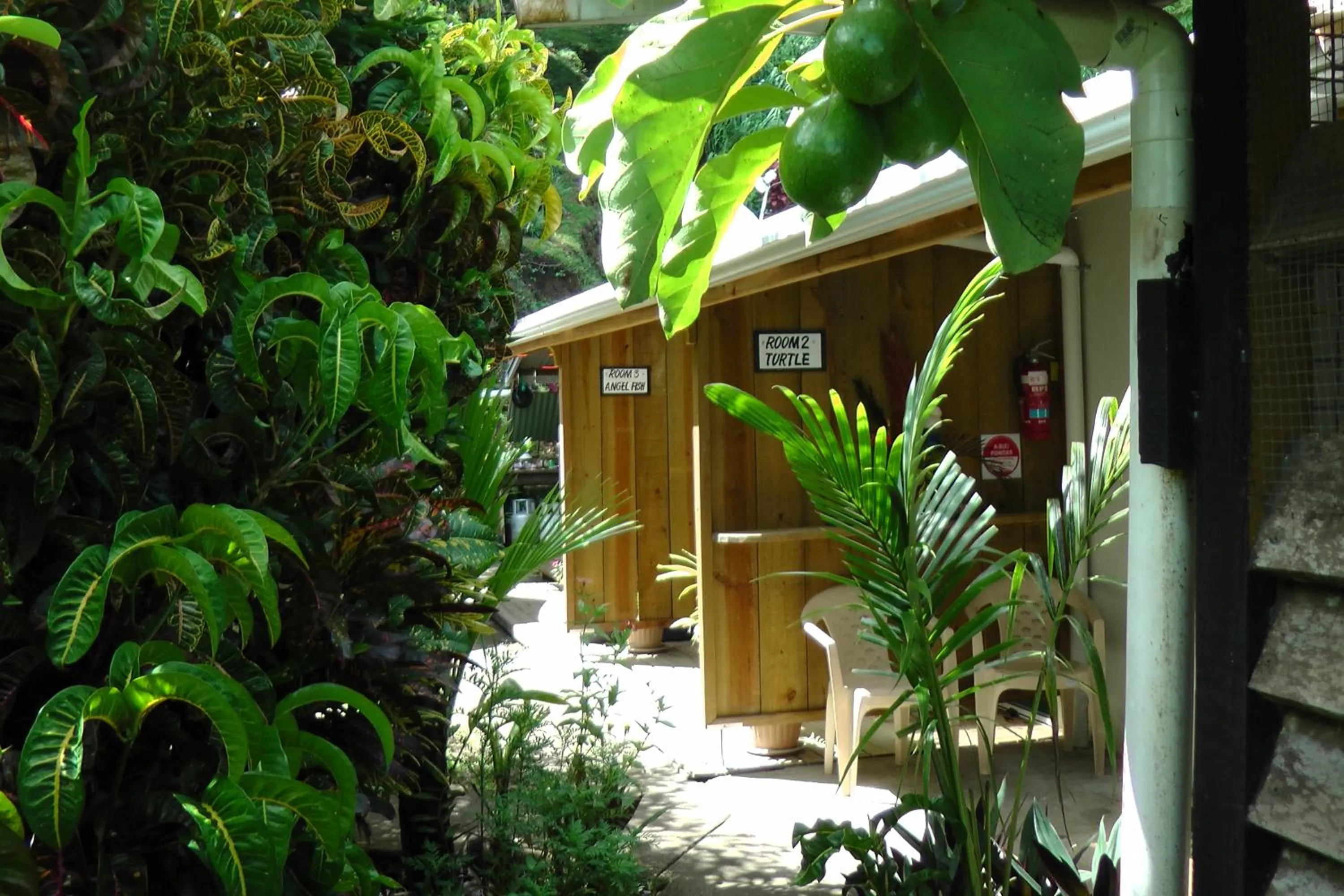 Patio in Gecko Lodge Fiji