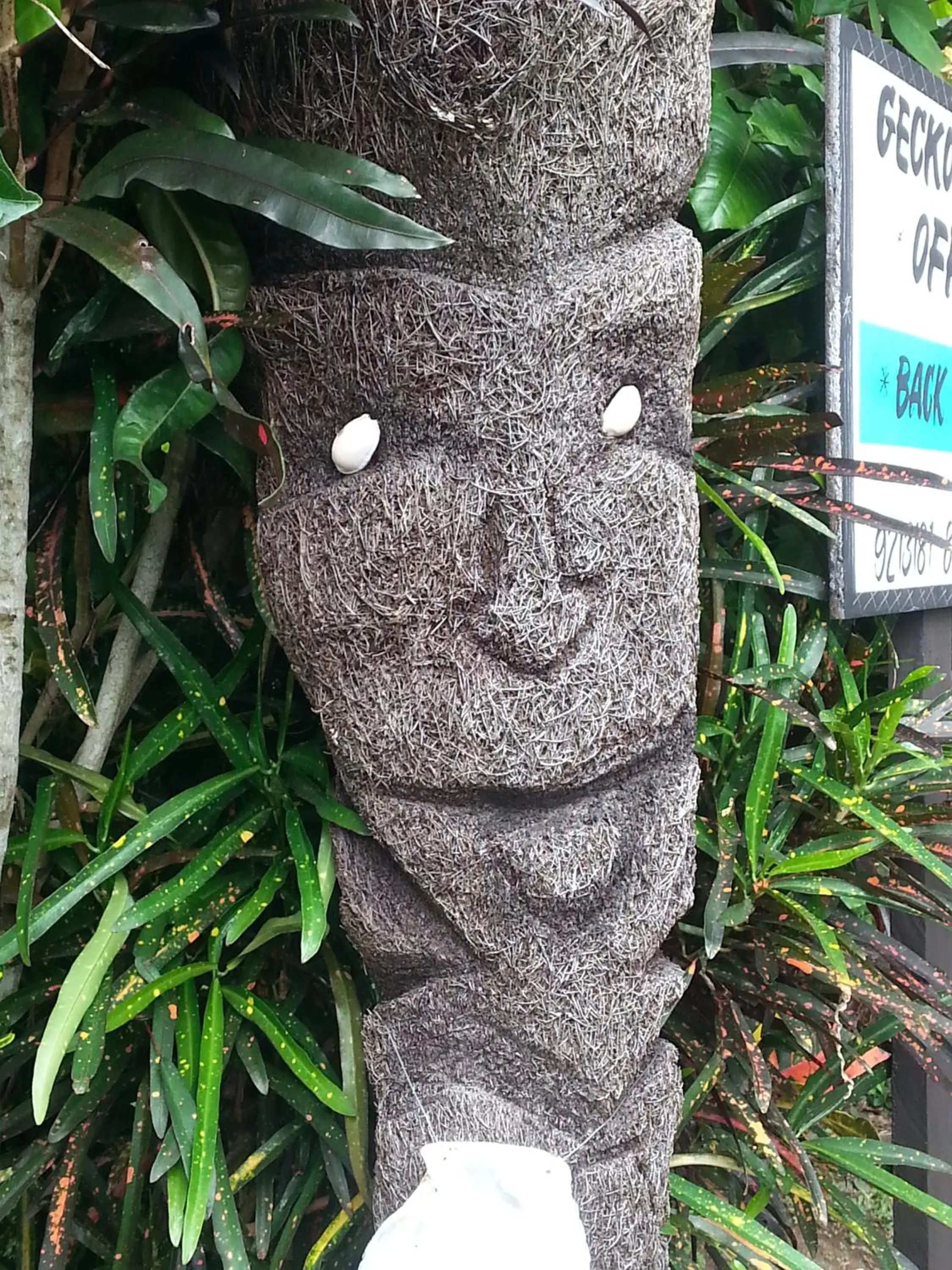 Other in Gecko Lodge Fiji