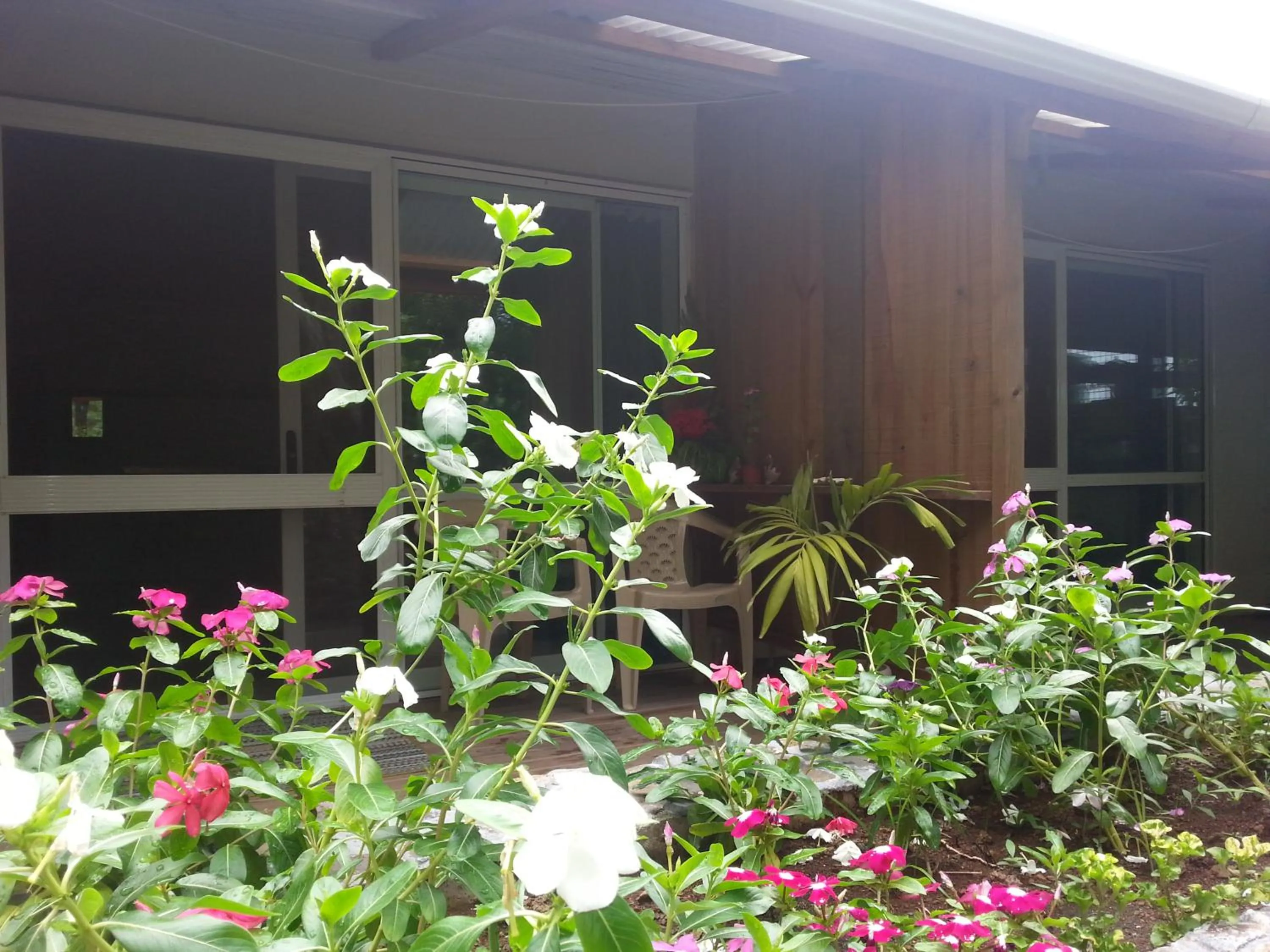 Garden view in Gecko Lodge Fiji