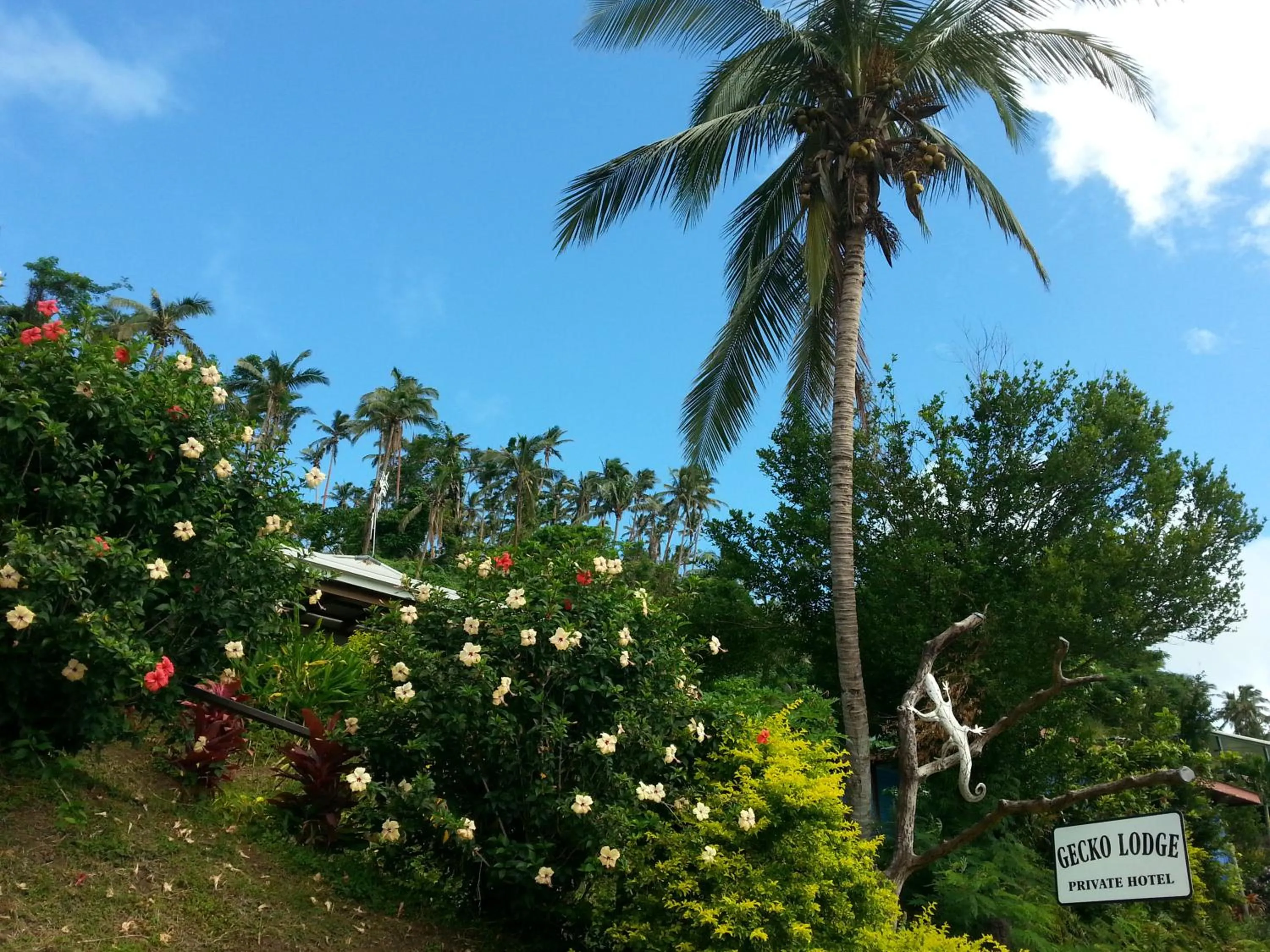 Property logo or sign in Gecko Lodge Fiji
