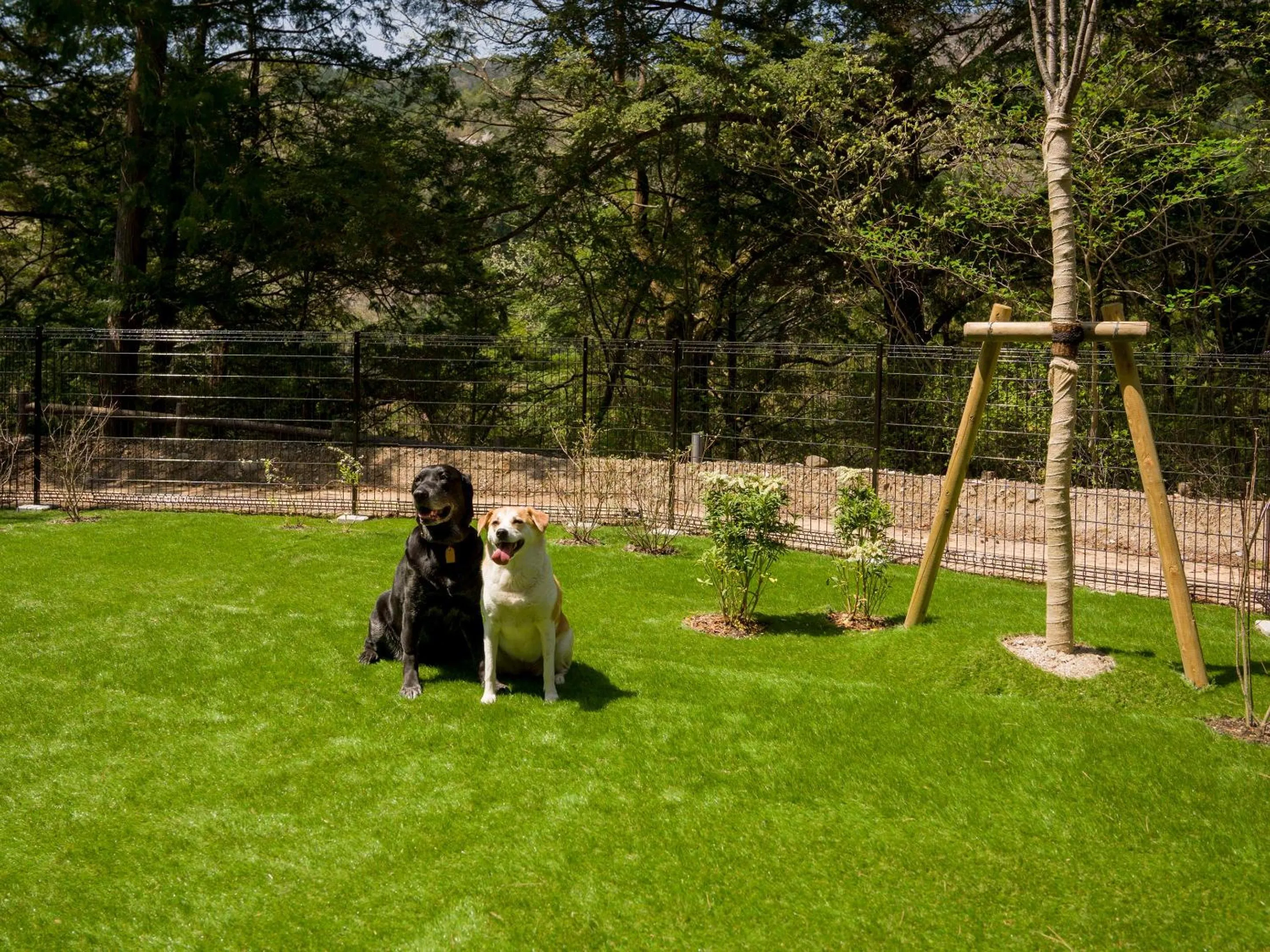 Natural landscape in Rakuten STAY VILLA Kinugawa Riverside