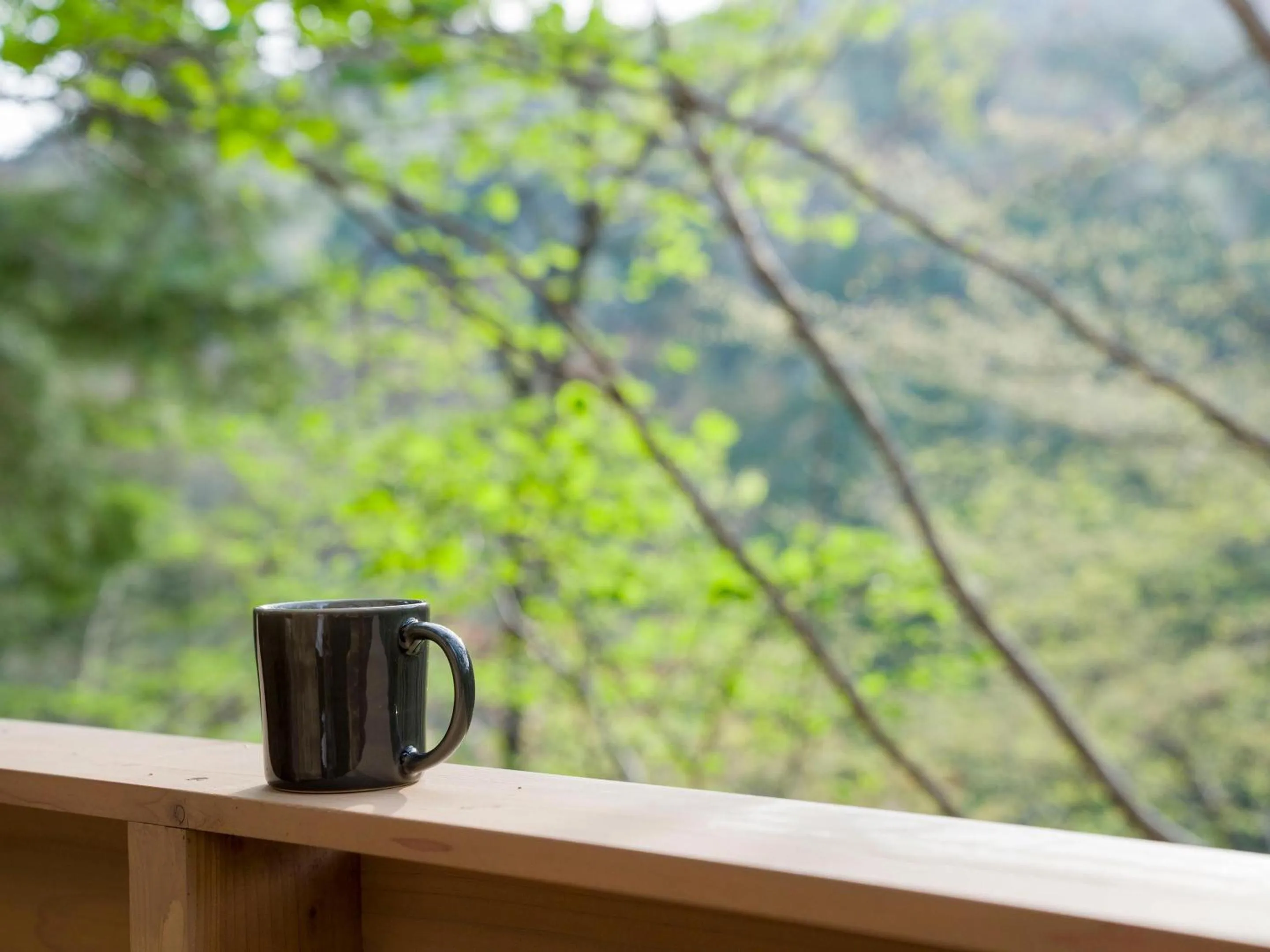 Day in Rakuten STAY VILLA Kinugawa Riverside