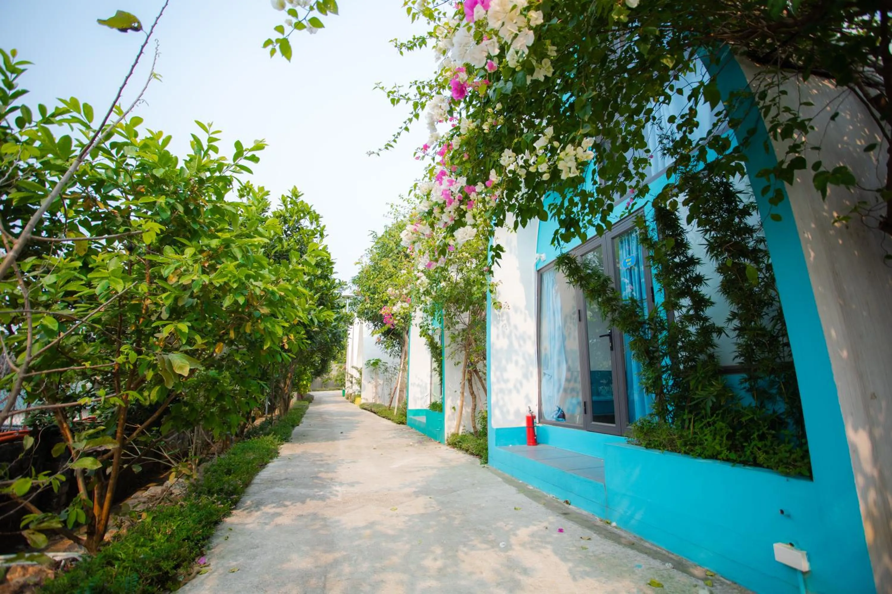 Communal lounge/ TV room in King Bavi Resort