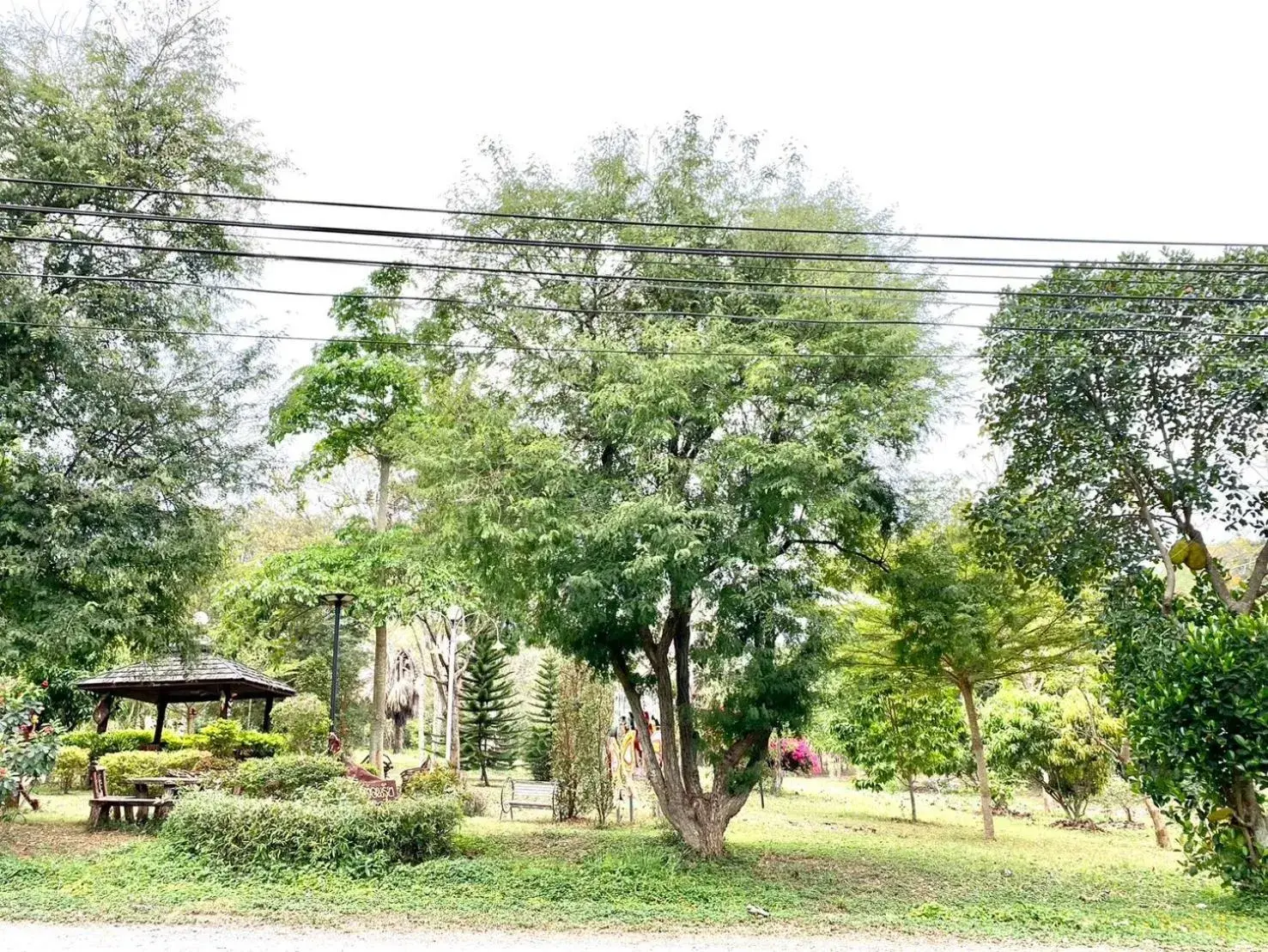 Garden view in Khum Khun Phon Resort Khao Yai Garden view in Khum Khun Phon Resort Khao Yai