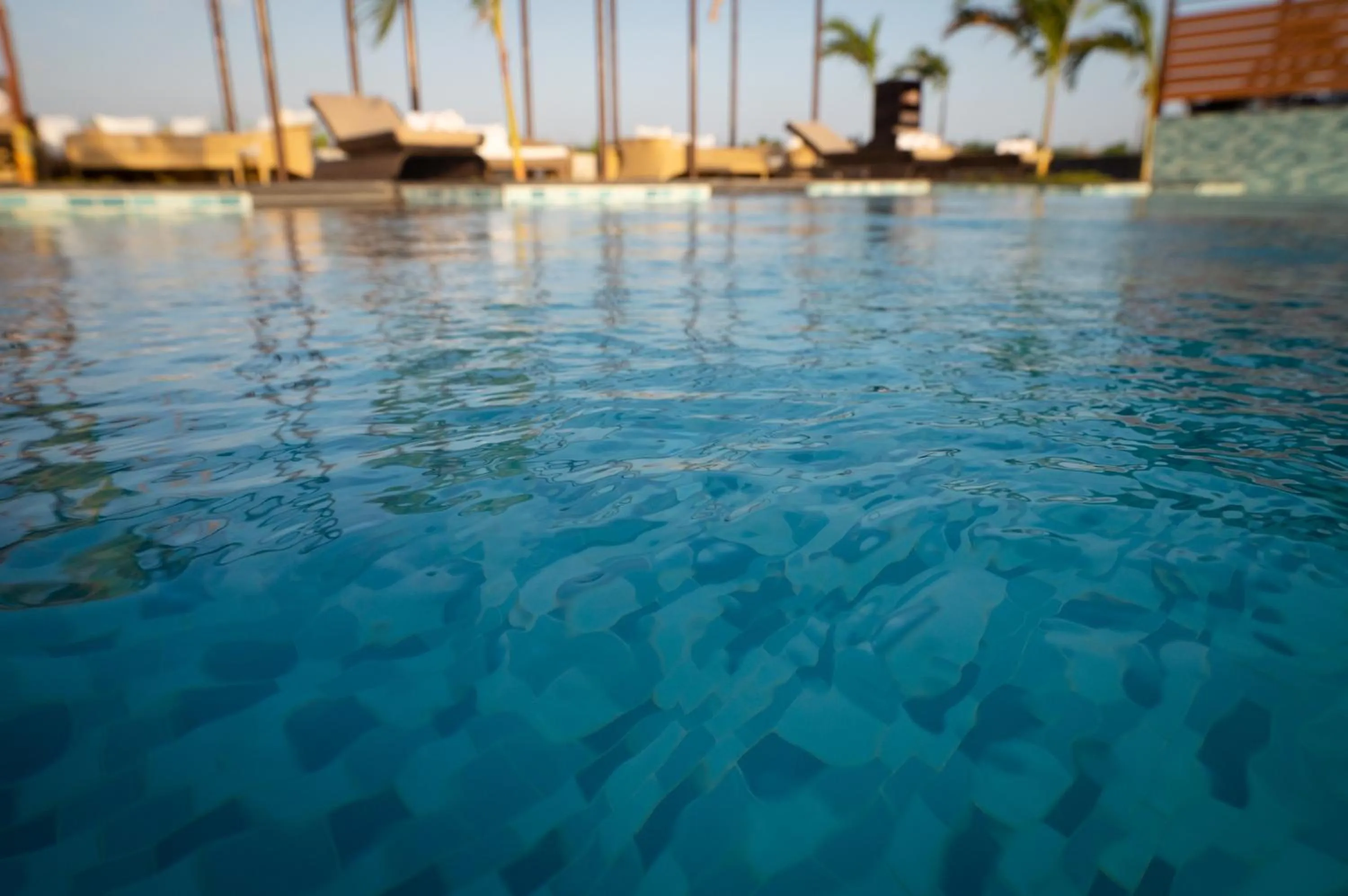Swimming pool in Sangam Farms