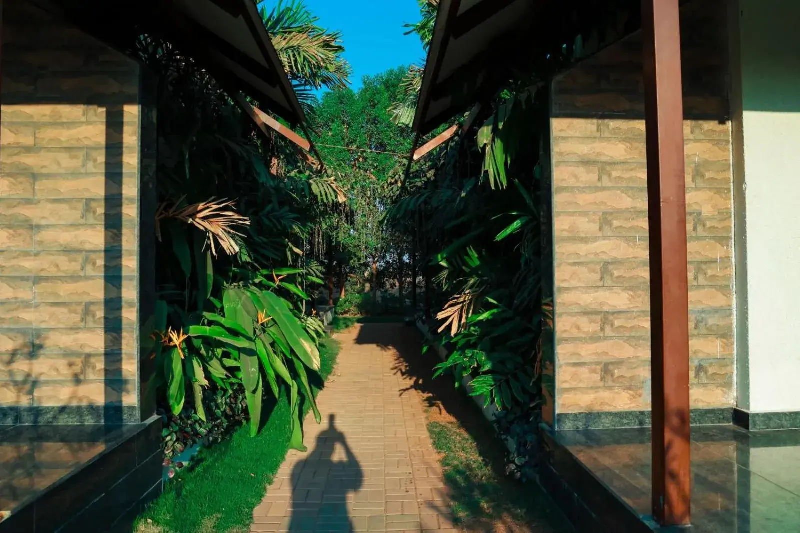 Garden view in Veerdency Luxury resort Garden view in Veerdency Luxury resort