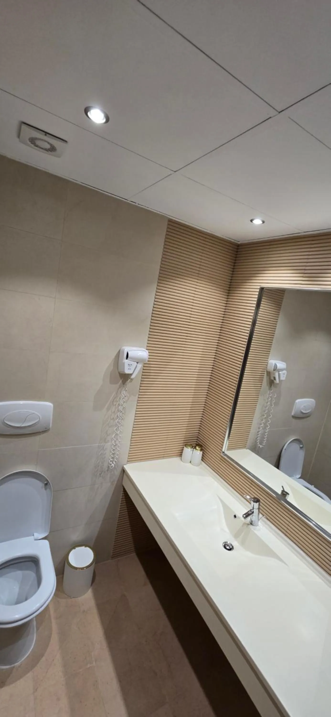 Toilet in Camera de Inchiriat in Rin Grand Hotel