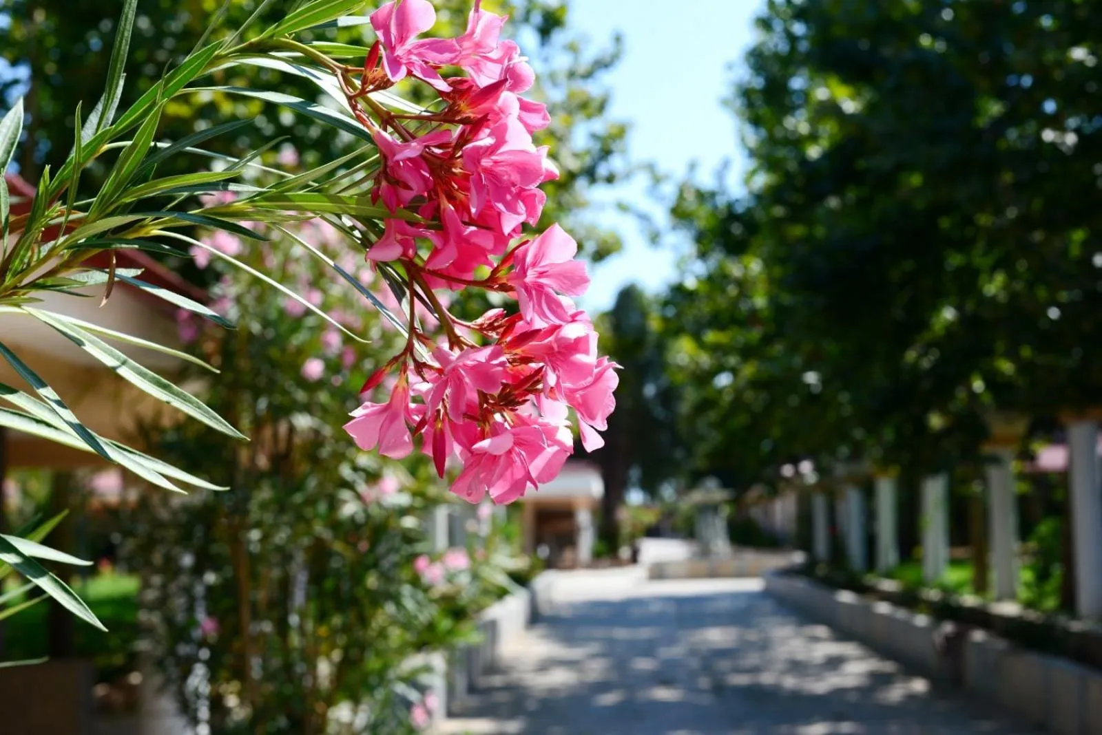 Vox Maris Grand Resort