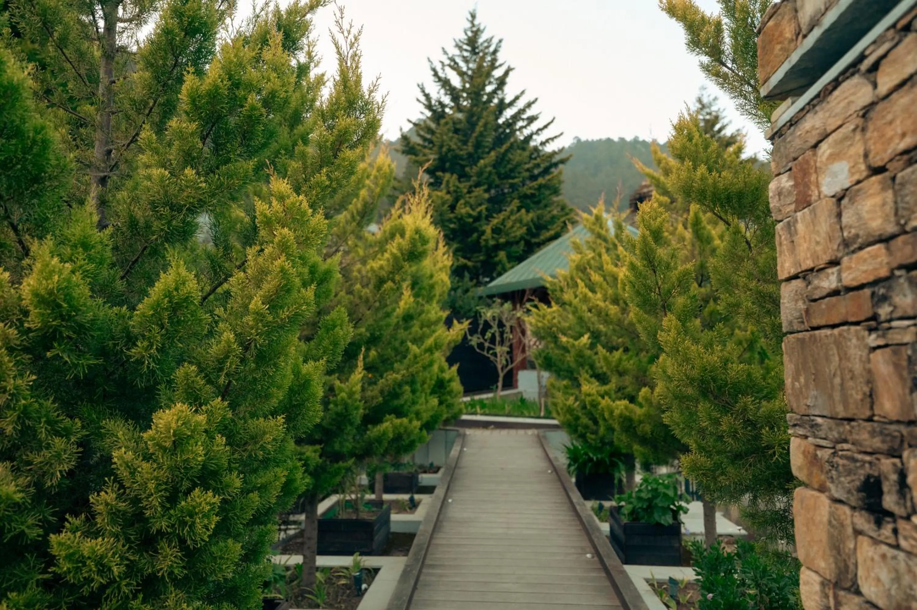 Garden in Brij Atmanya Bhowali, Nainital, A Luxury Mountain Escape